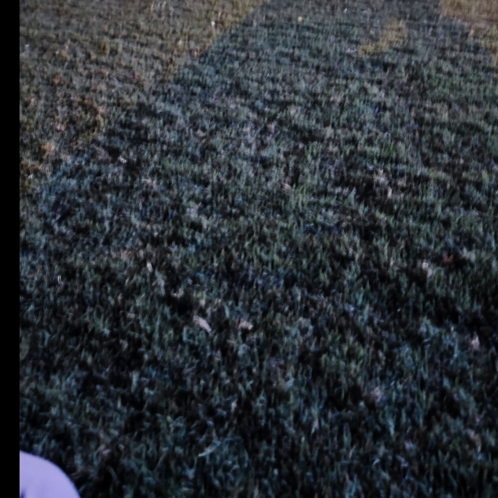 LEAS OnlyFans header