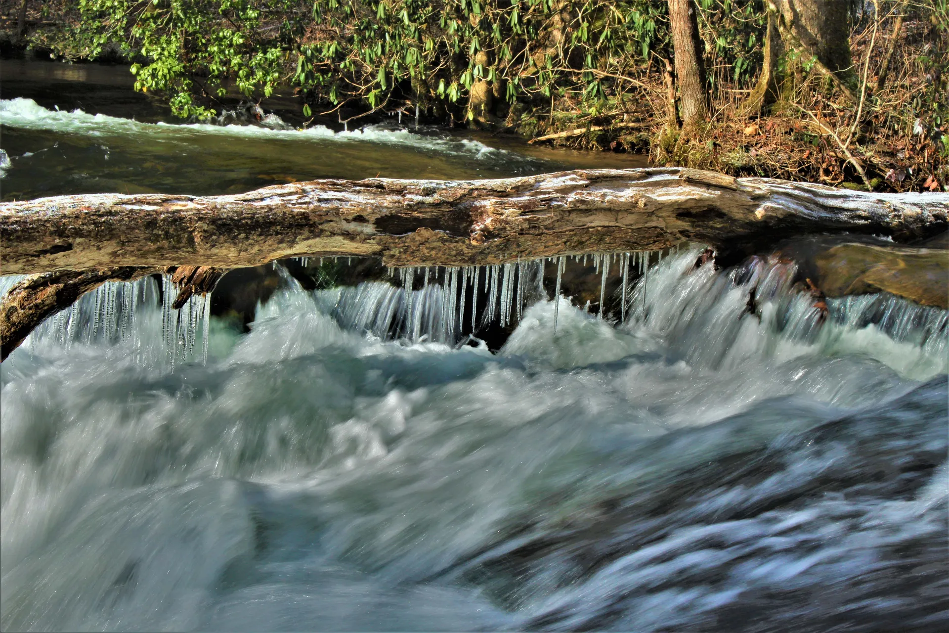 Blackmetal OnlyFans header