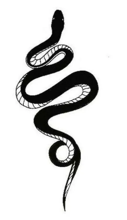 G🌙 OnlyFans header