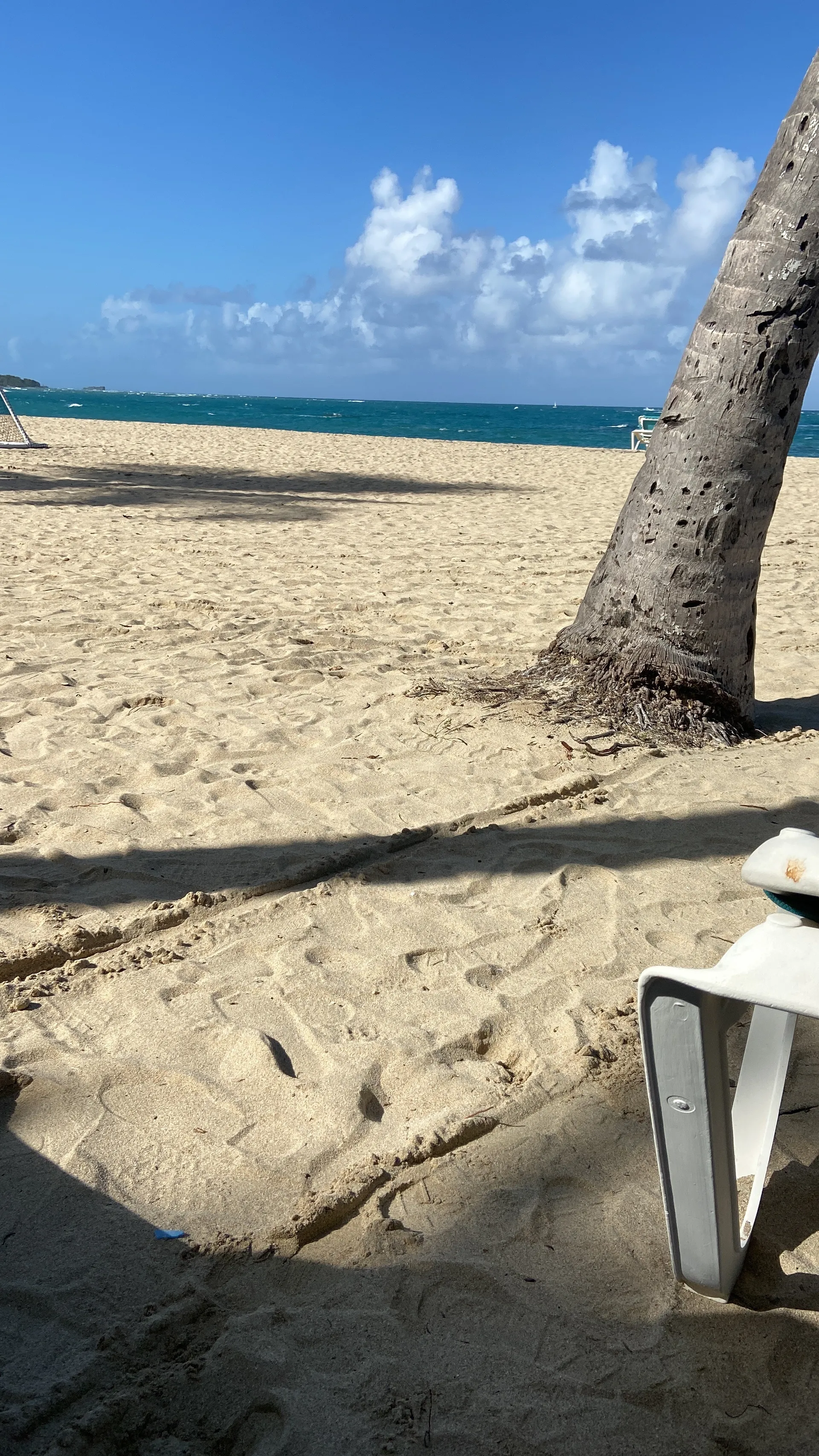 Black Nell OnlyFans header