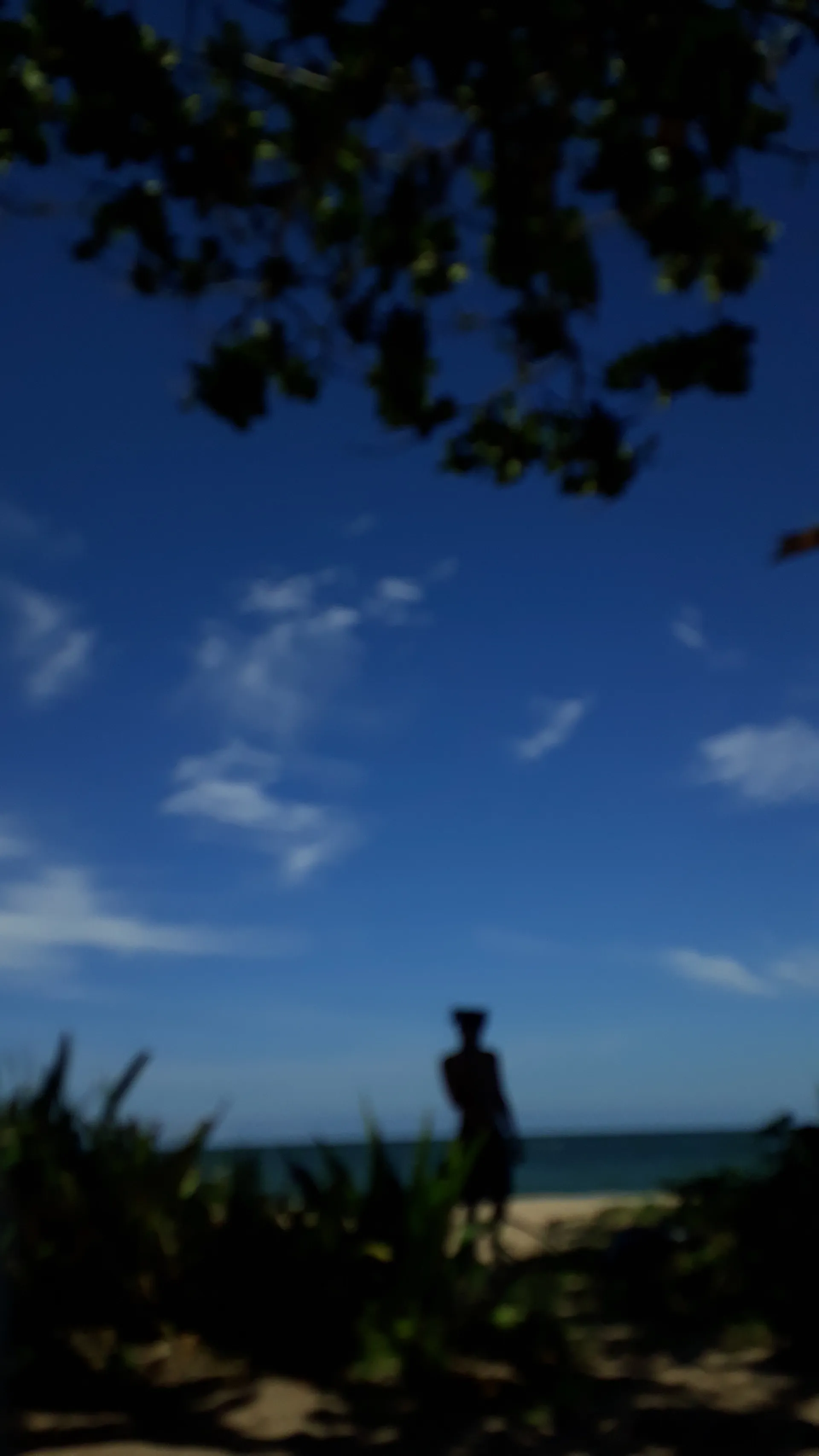 Blackpantherabr OnlyFans header