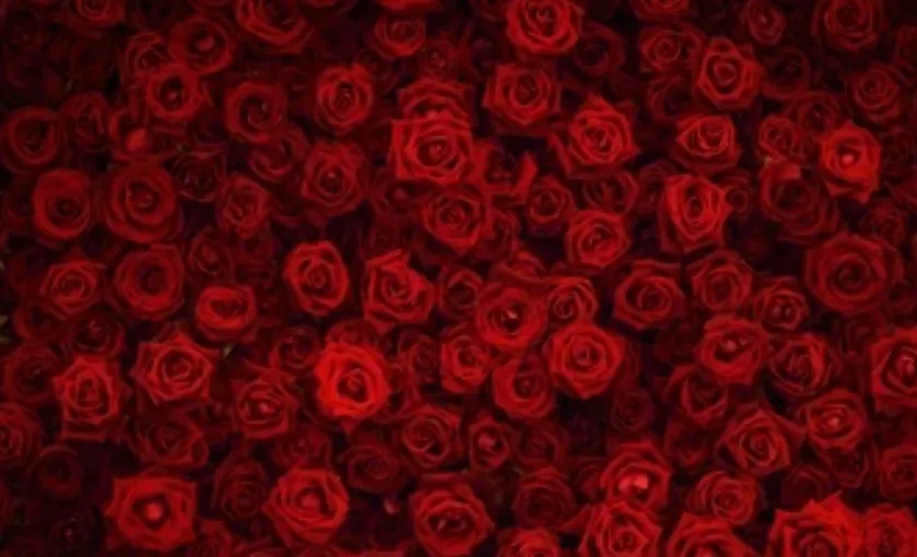 Blackrusset OnlyFans header