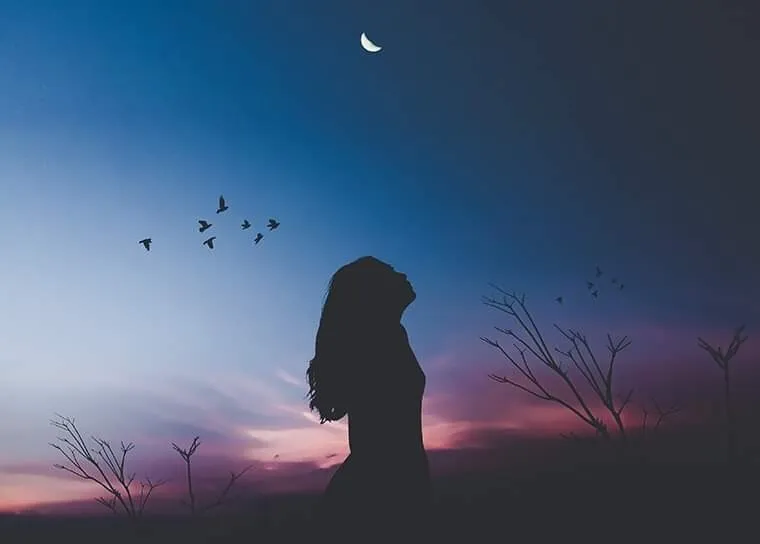 Black Shadow OnlyFans header