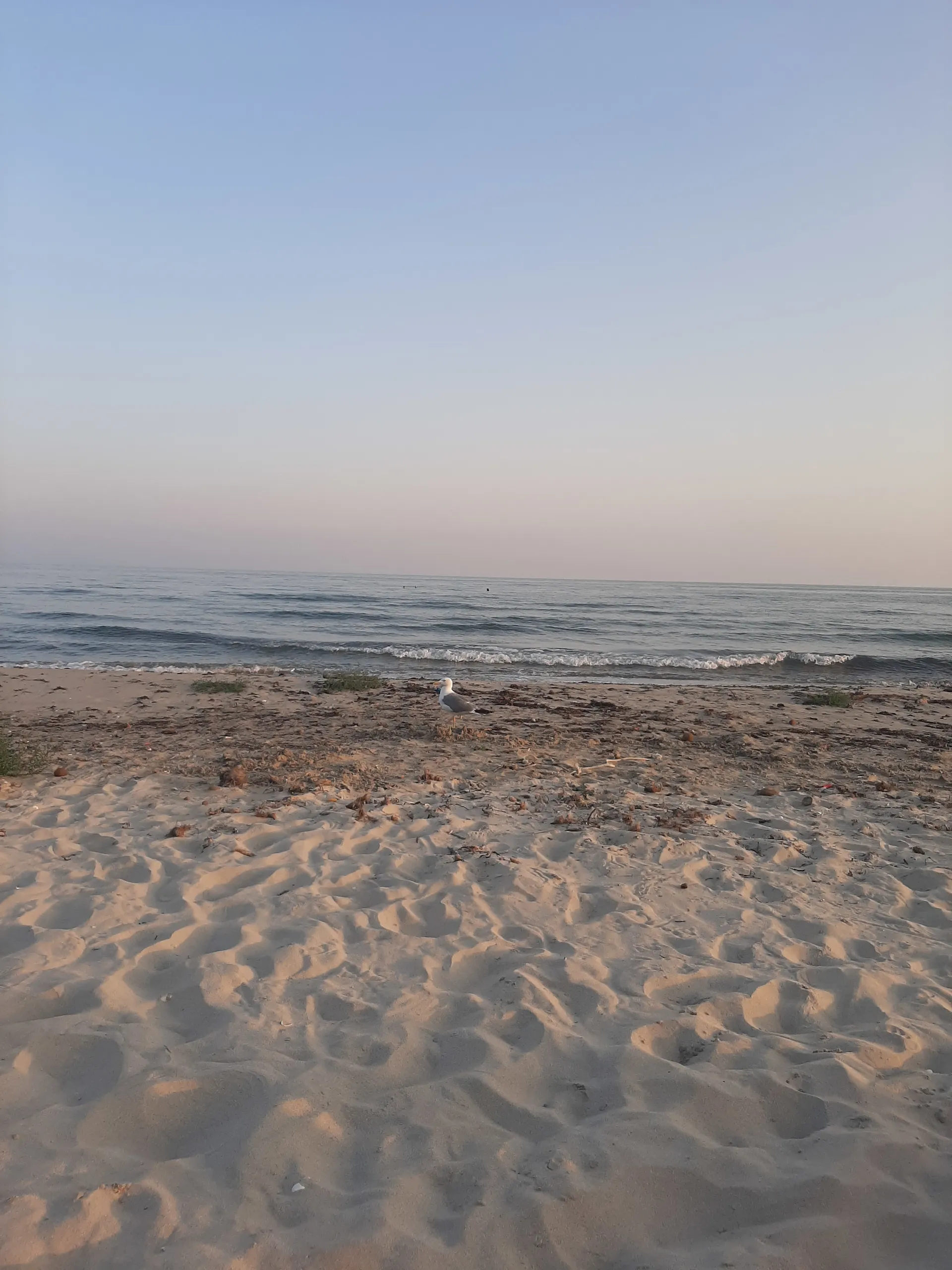 Blacksirr OnlyFans header