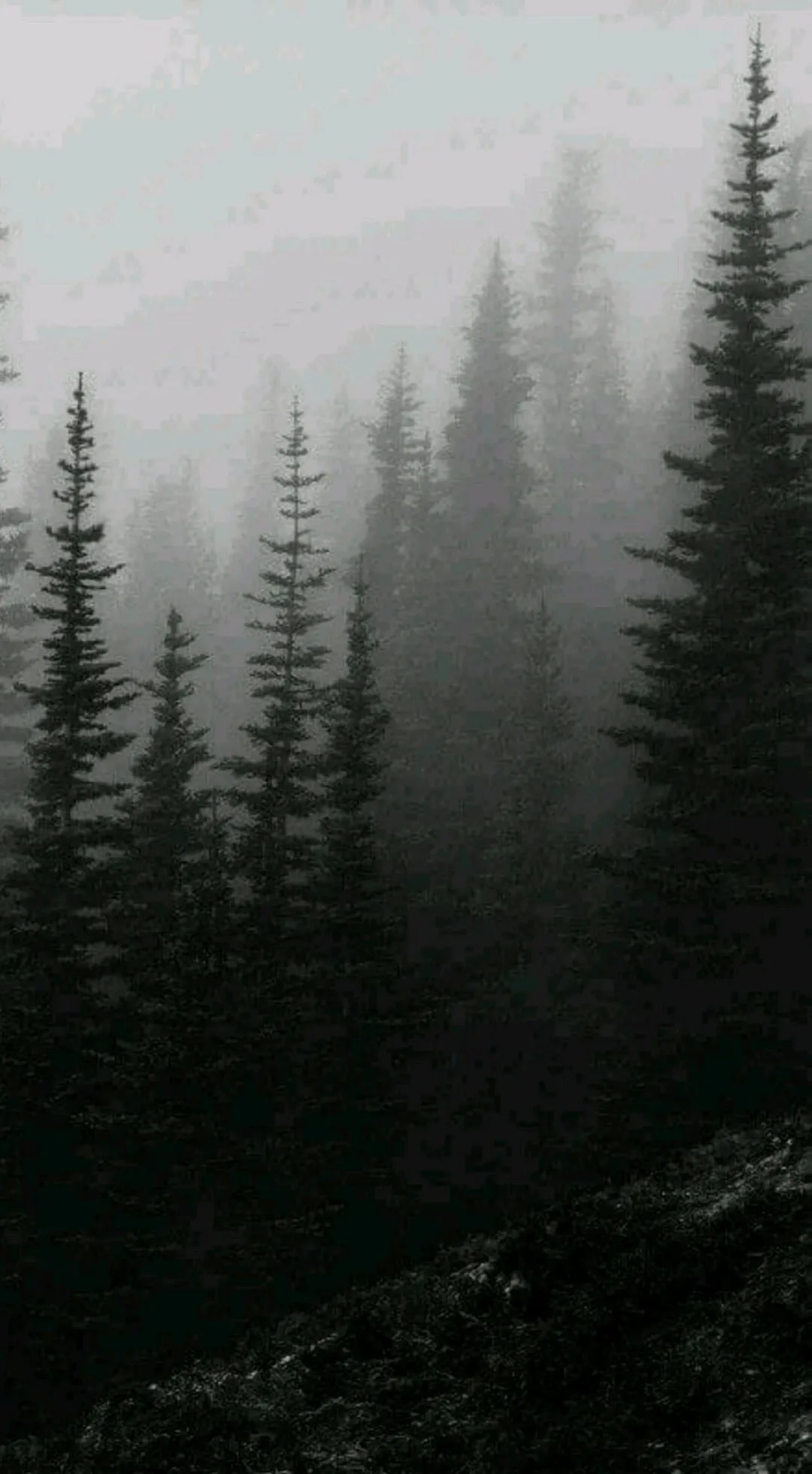 Lilith OnlyFans header