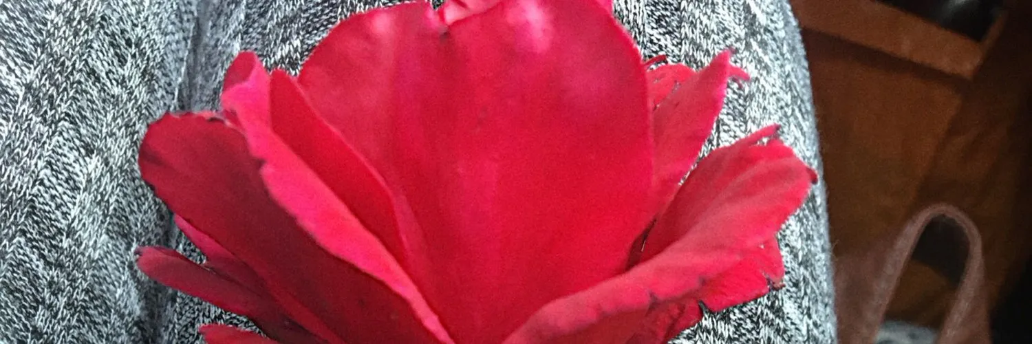 blackstar OnlyFans header