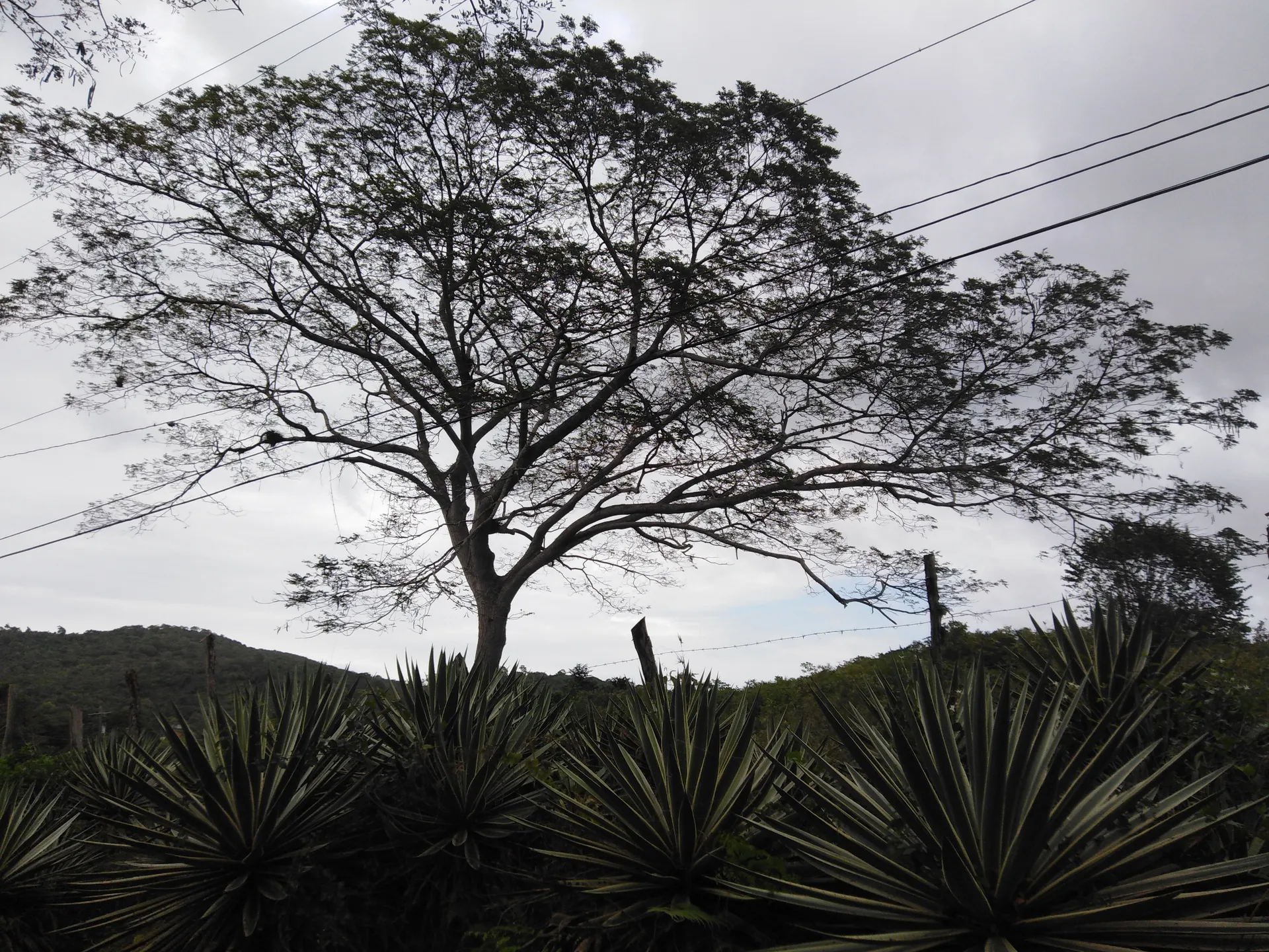 Blackwood82 OnlyFans header