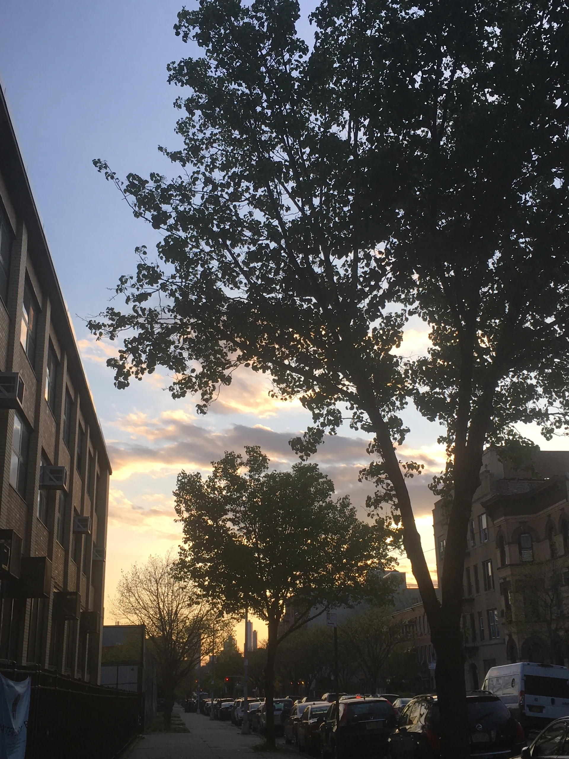 mags OnlyFans header