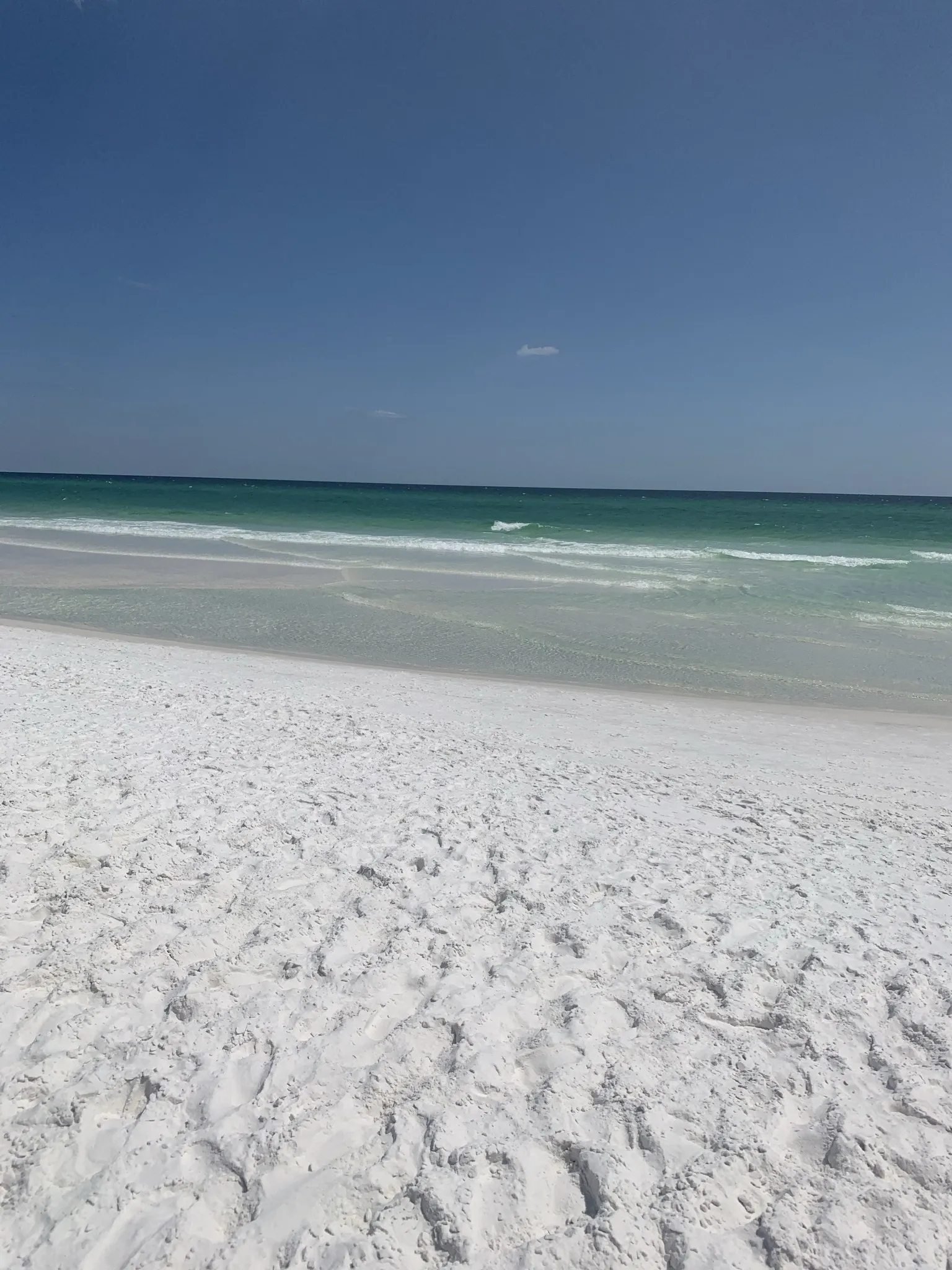 B 🤍 OnlyFans header