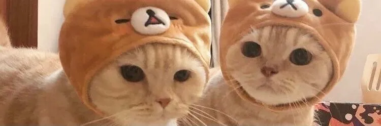 Blaire Lewd OnlyFans header