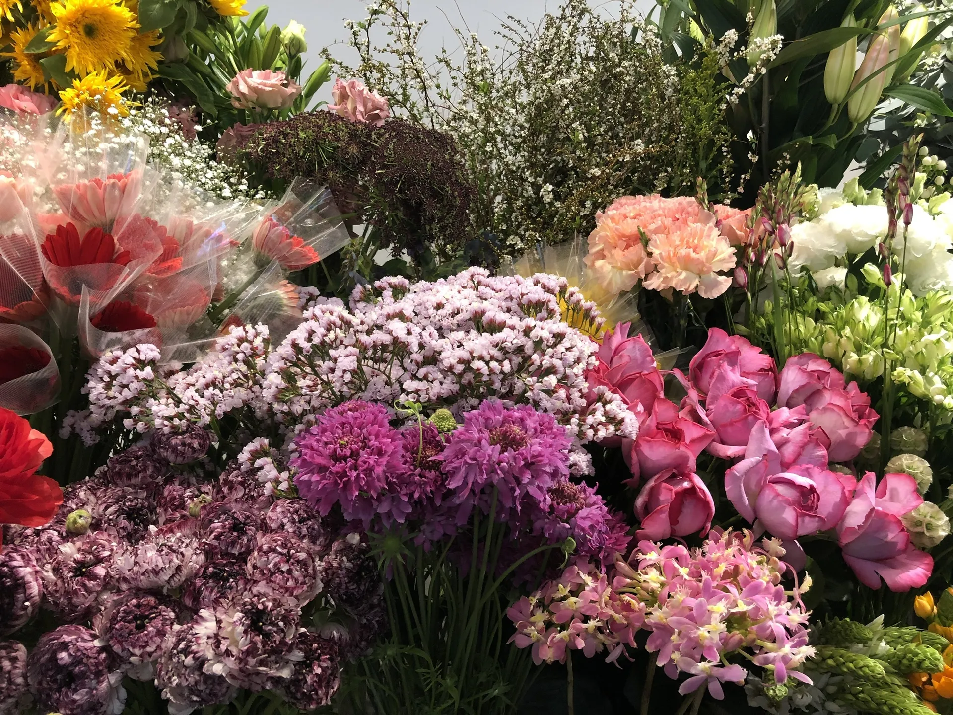 Blair Lovett Ass Girl OnlyFans header