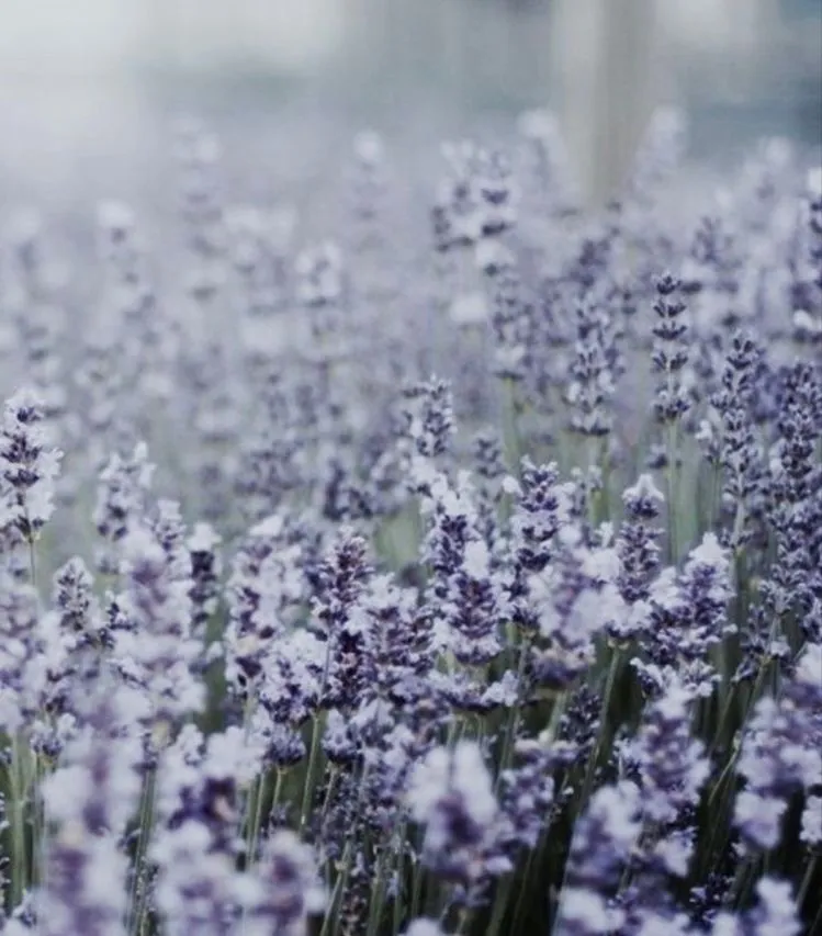 Blair OnlyFans header