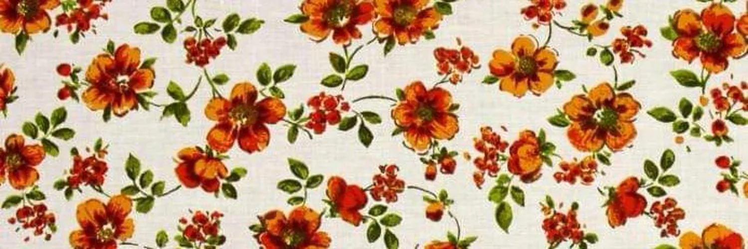 Rina OnlyFans header