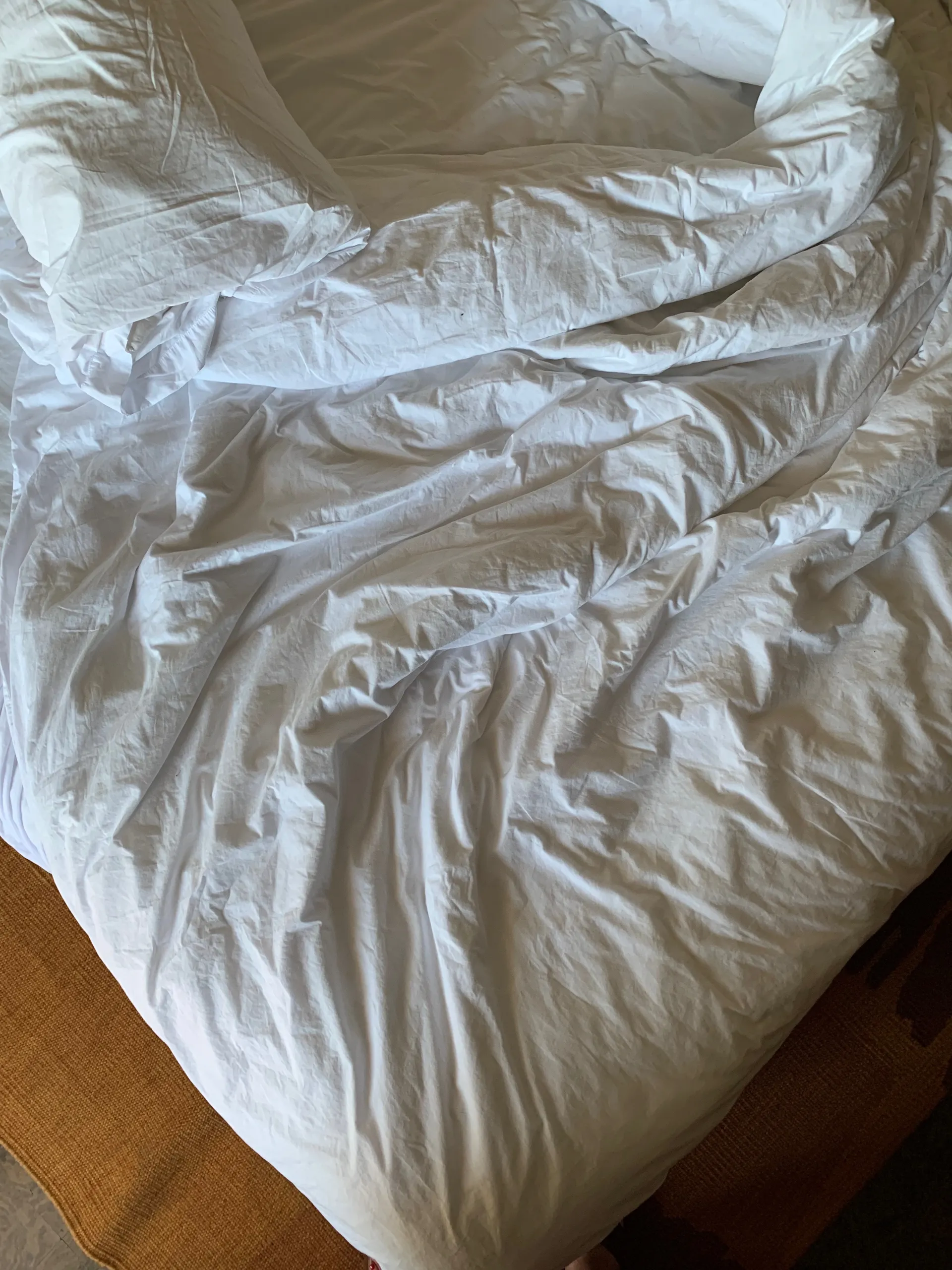 blakelee OnlyFans header