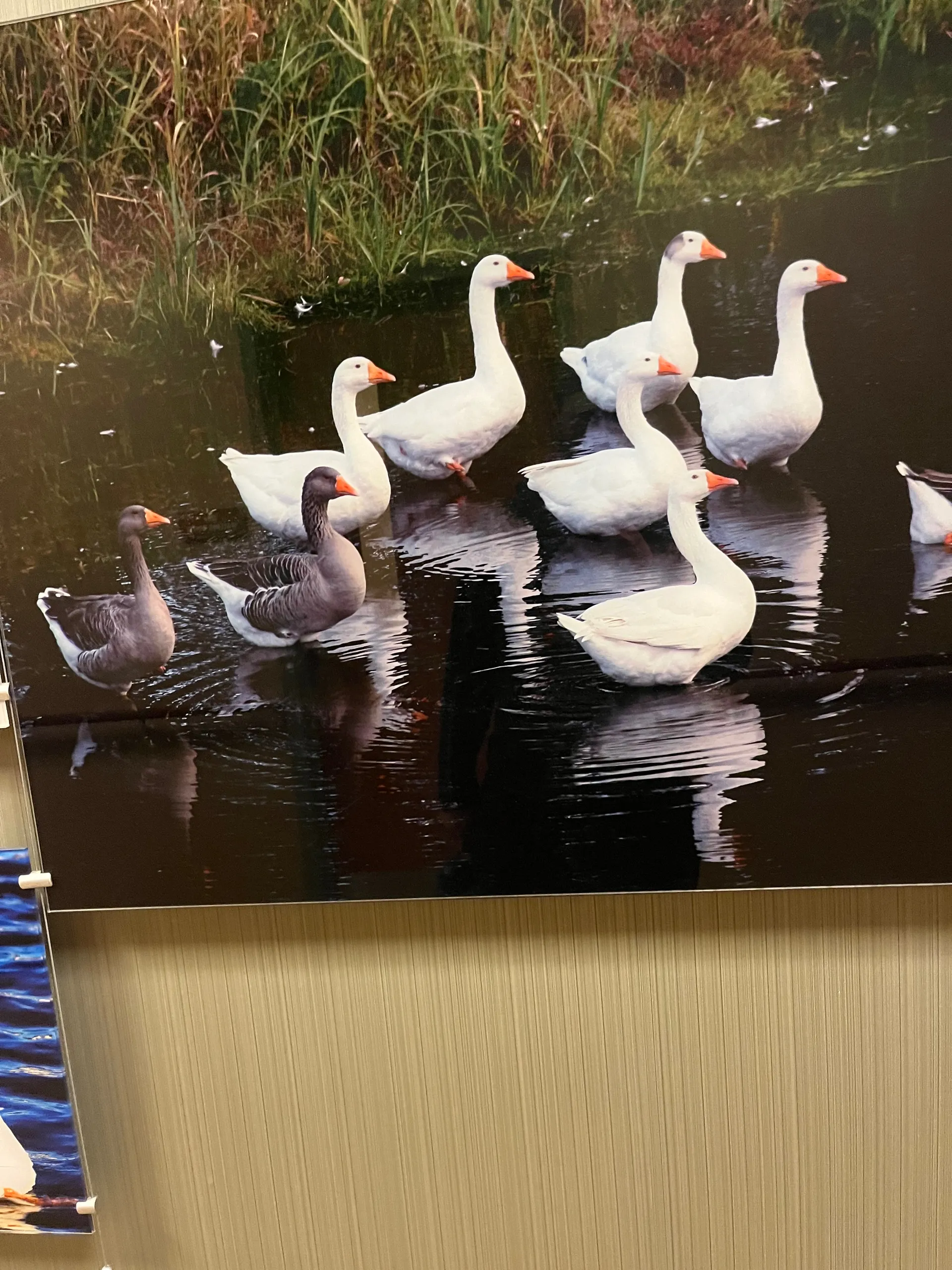 Funifyouwant OnlyFans header