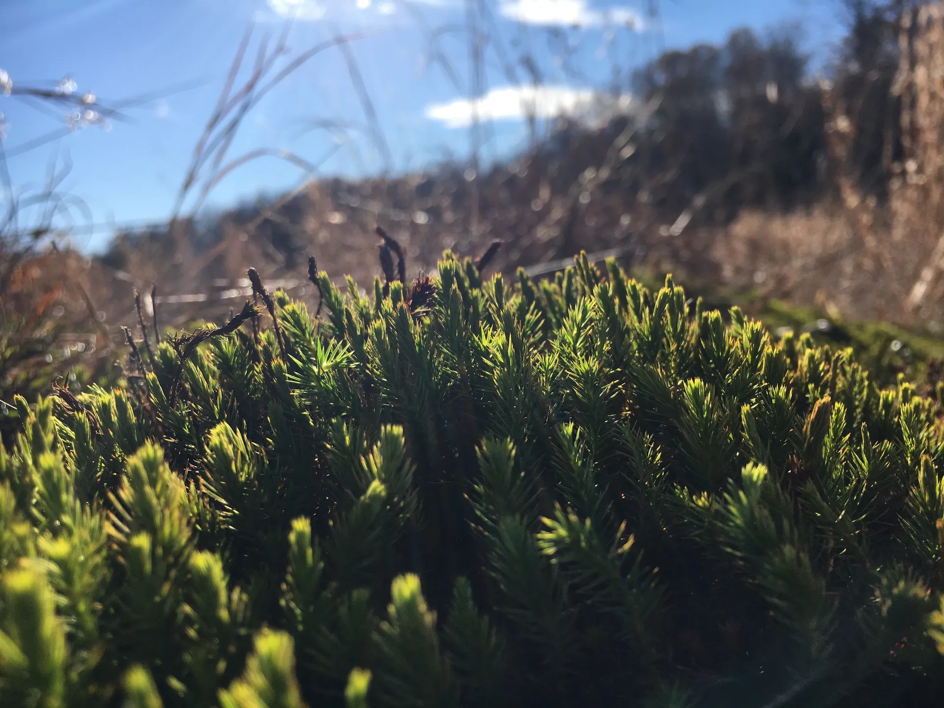 Blakely OnlyFans header