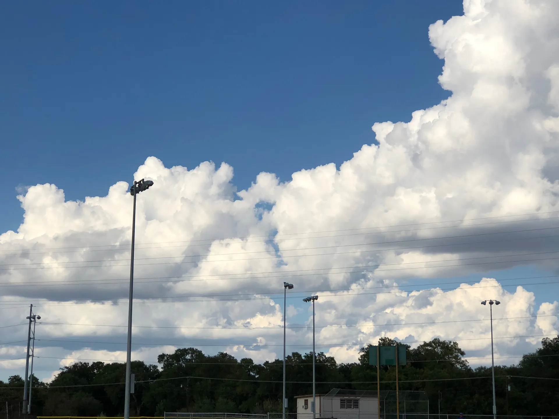 Blake berry OnlyFans header