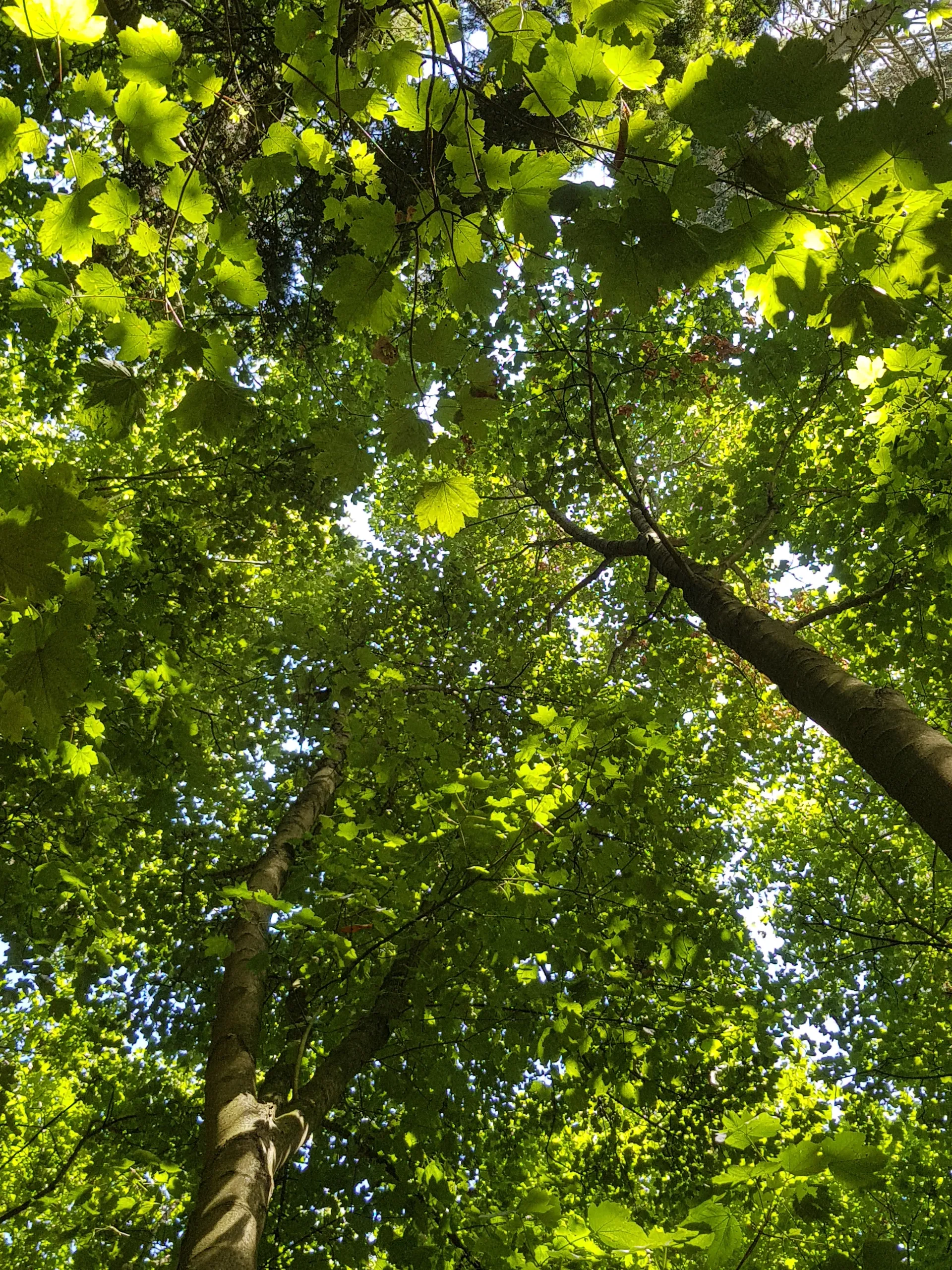 Blake Ryeland OnlyFans header