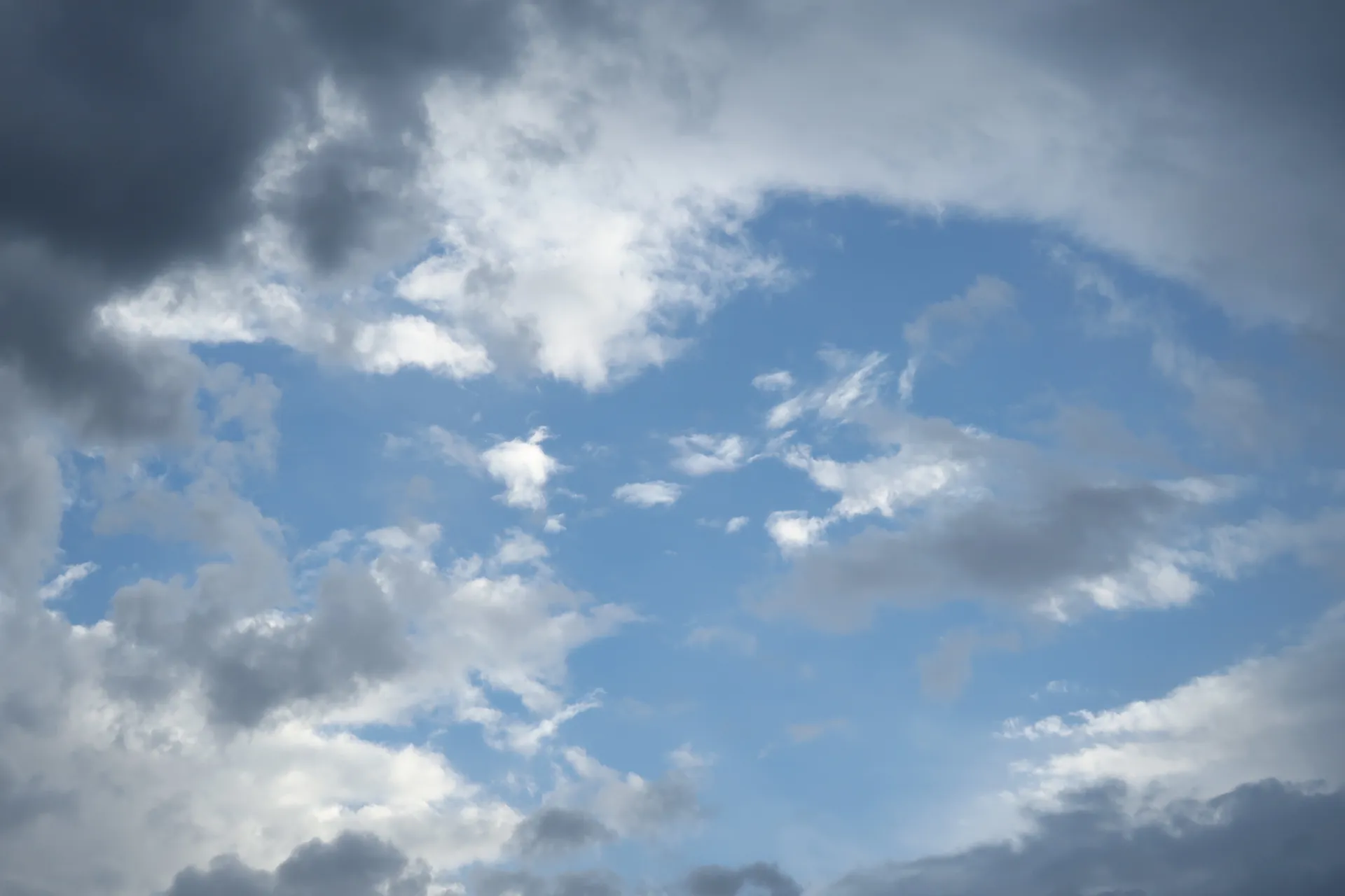 Blake Topanga OnlyFans header