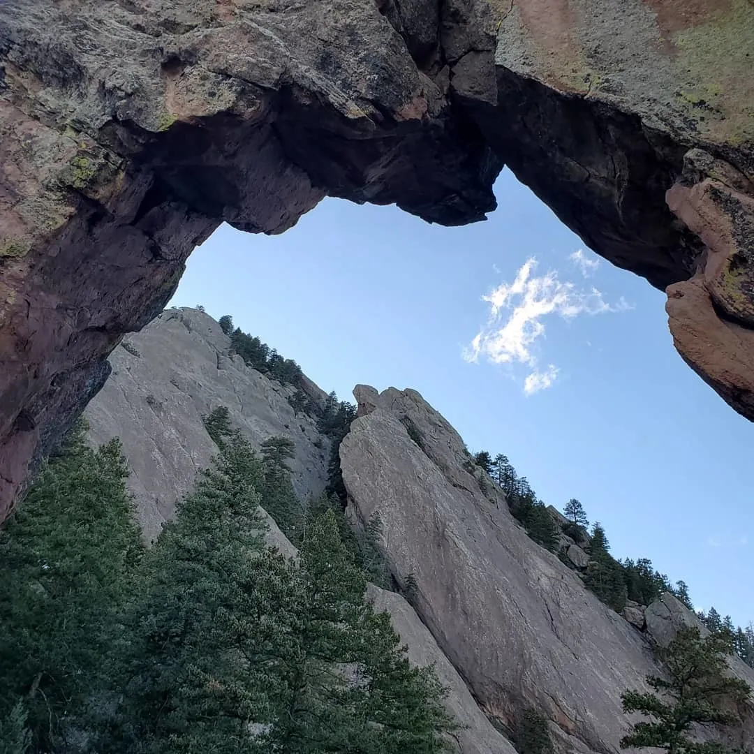 Blake Tortuga OnlyFans header