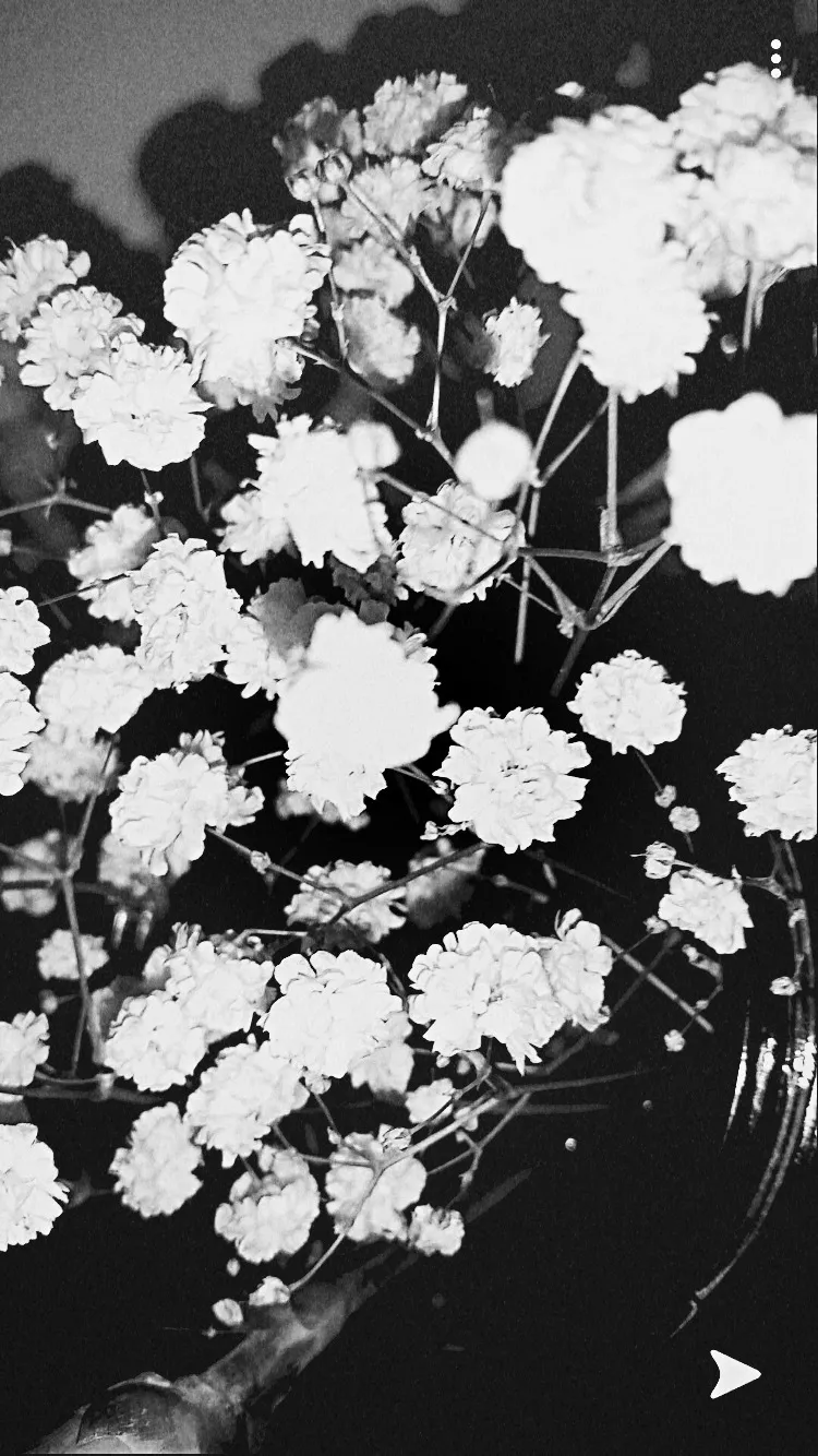 Blake Lewis OnlyFans header