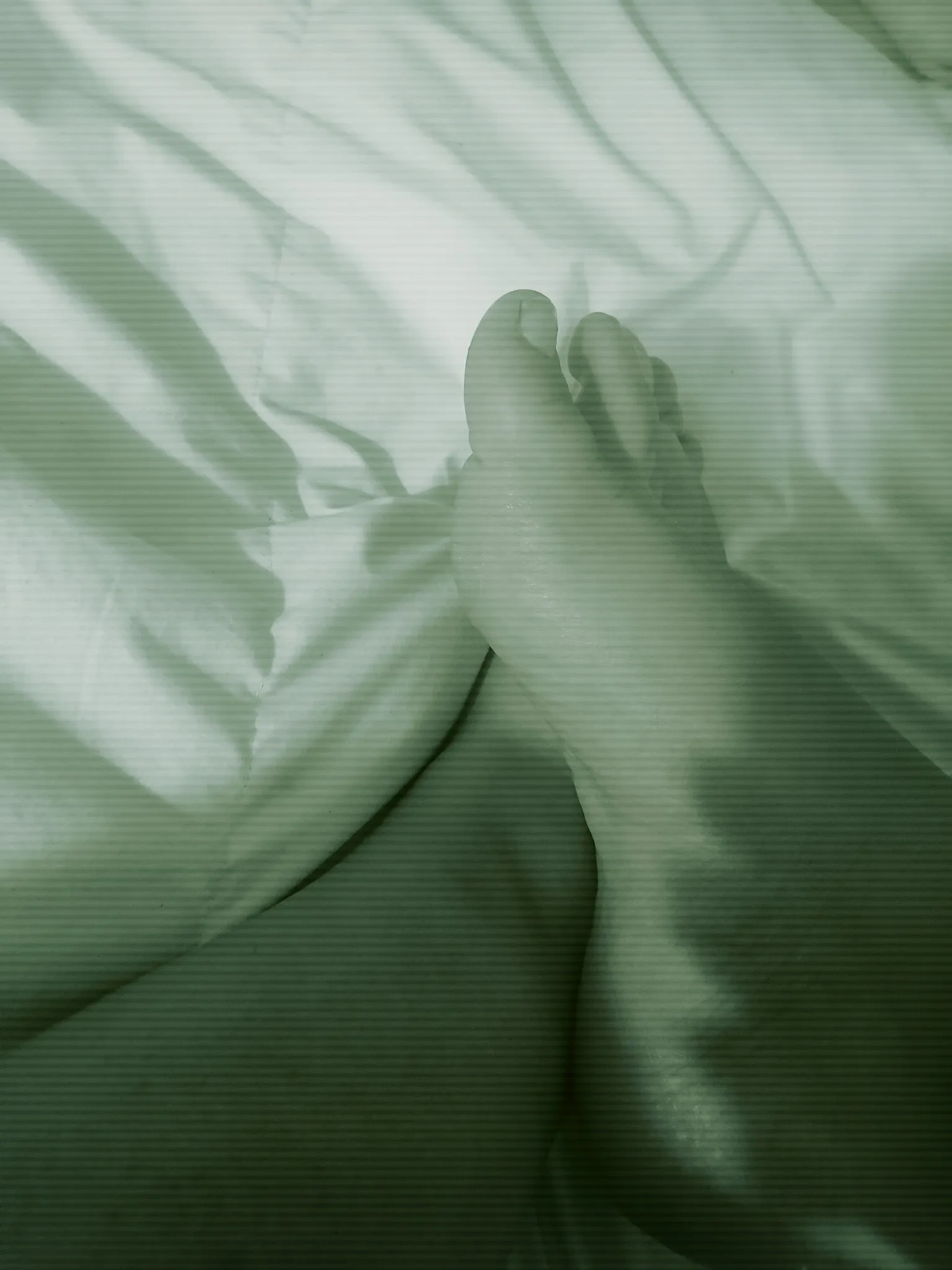 Blanca Coqueta OnlyFans header