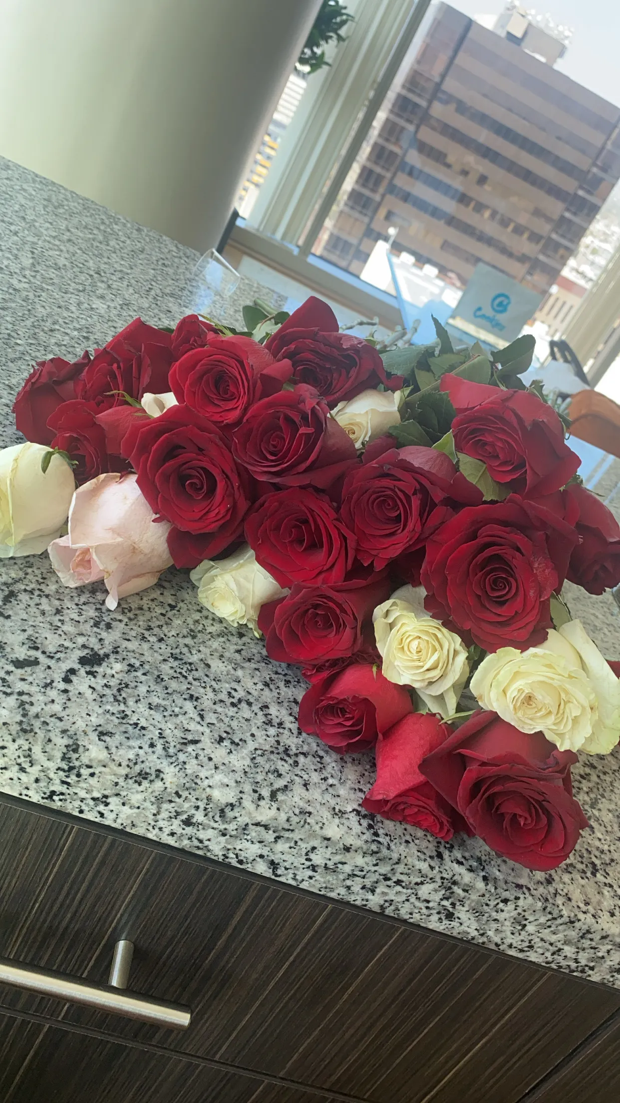 Bianca OnlyFans header