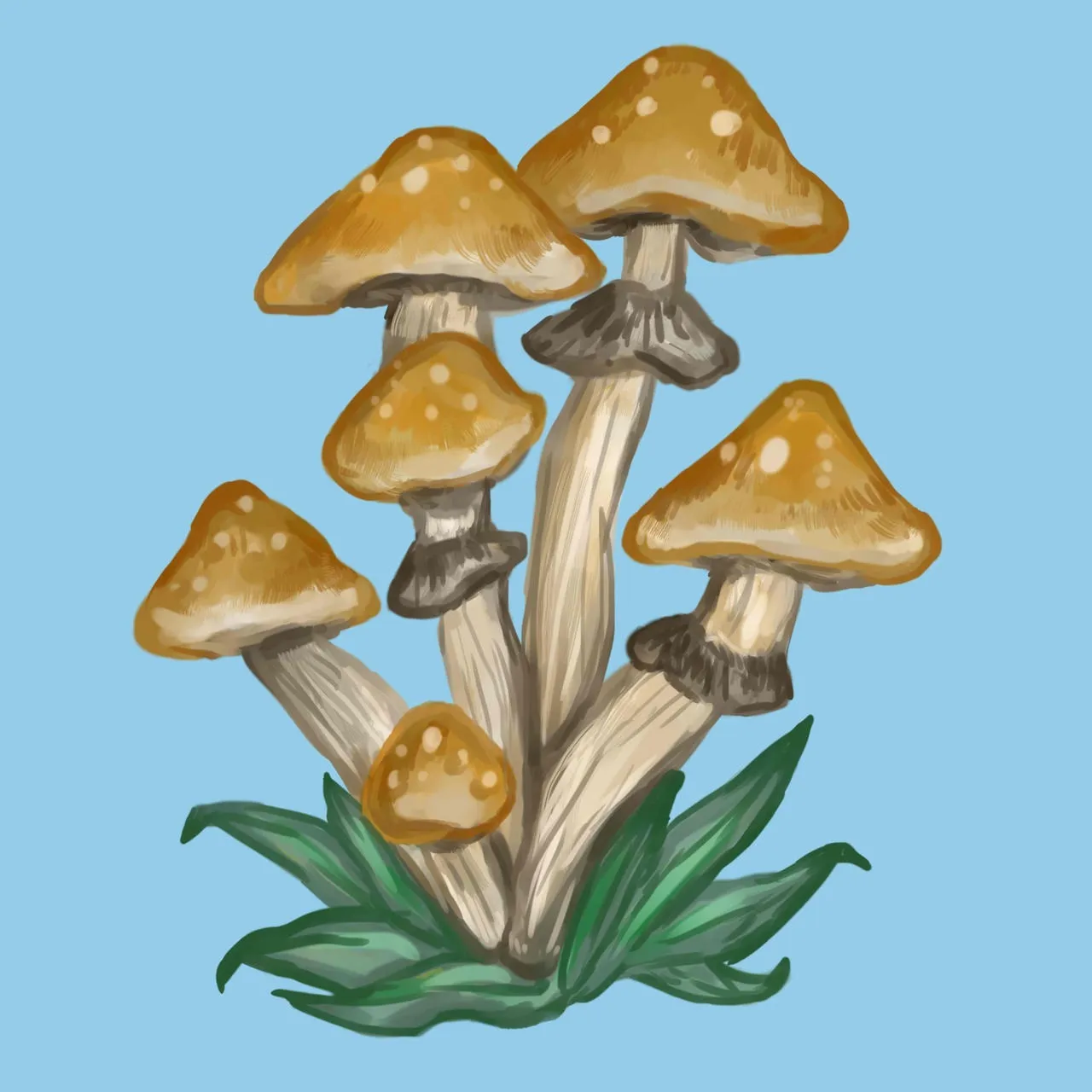 jade OnlyFans header