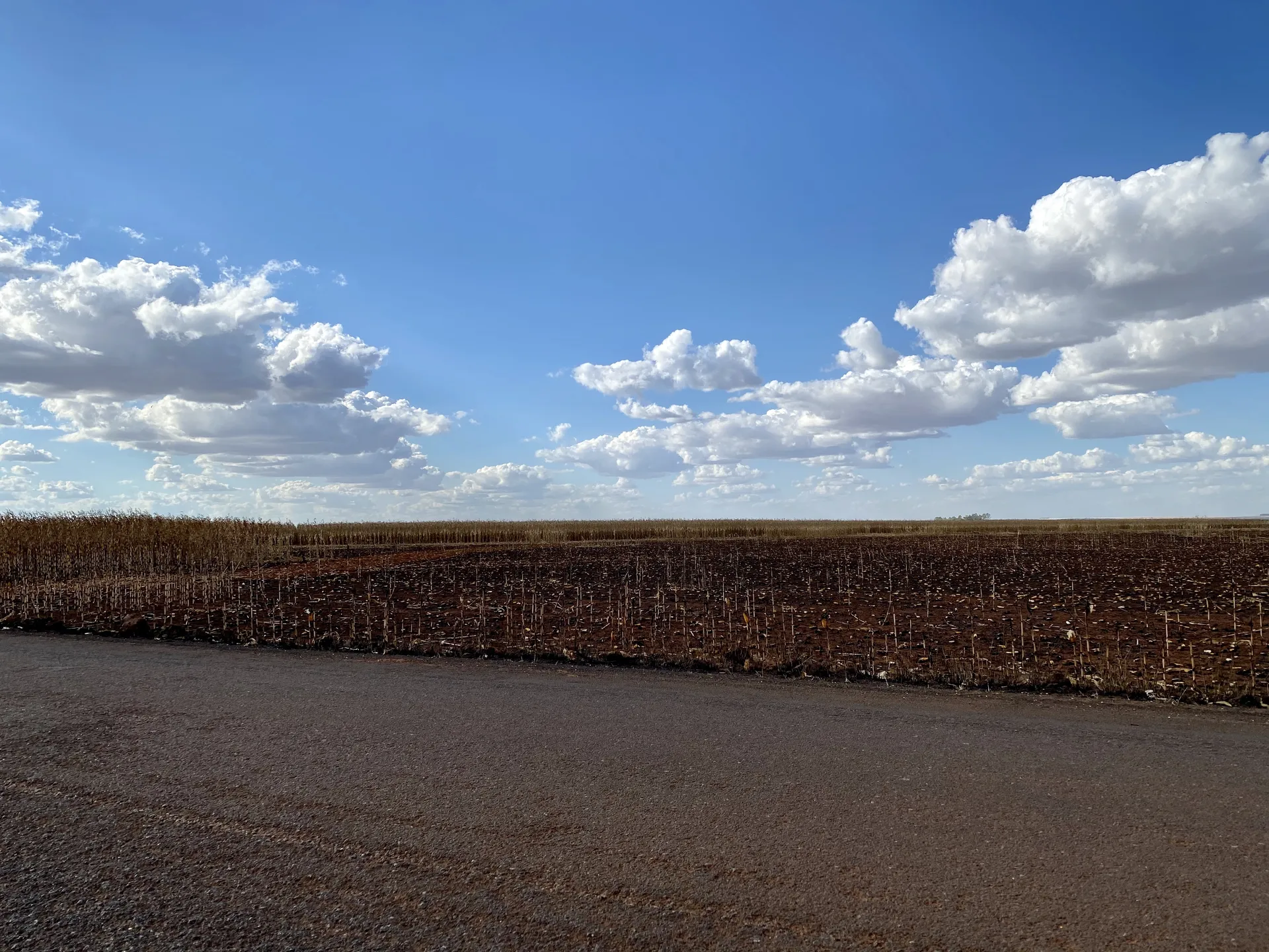 BlankPsyduck OnlyFans header