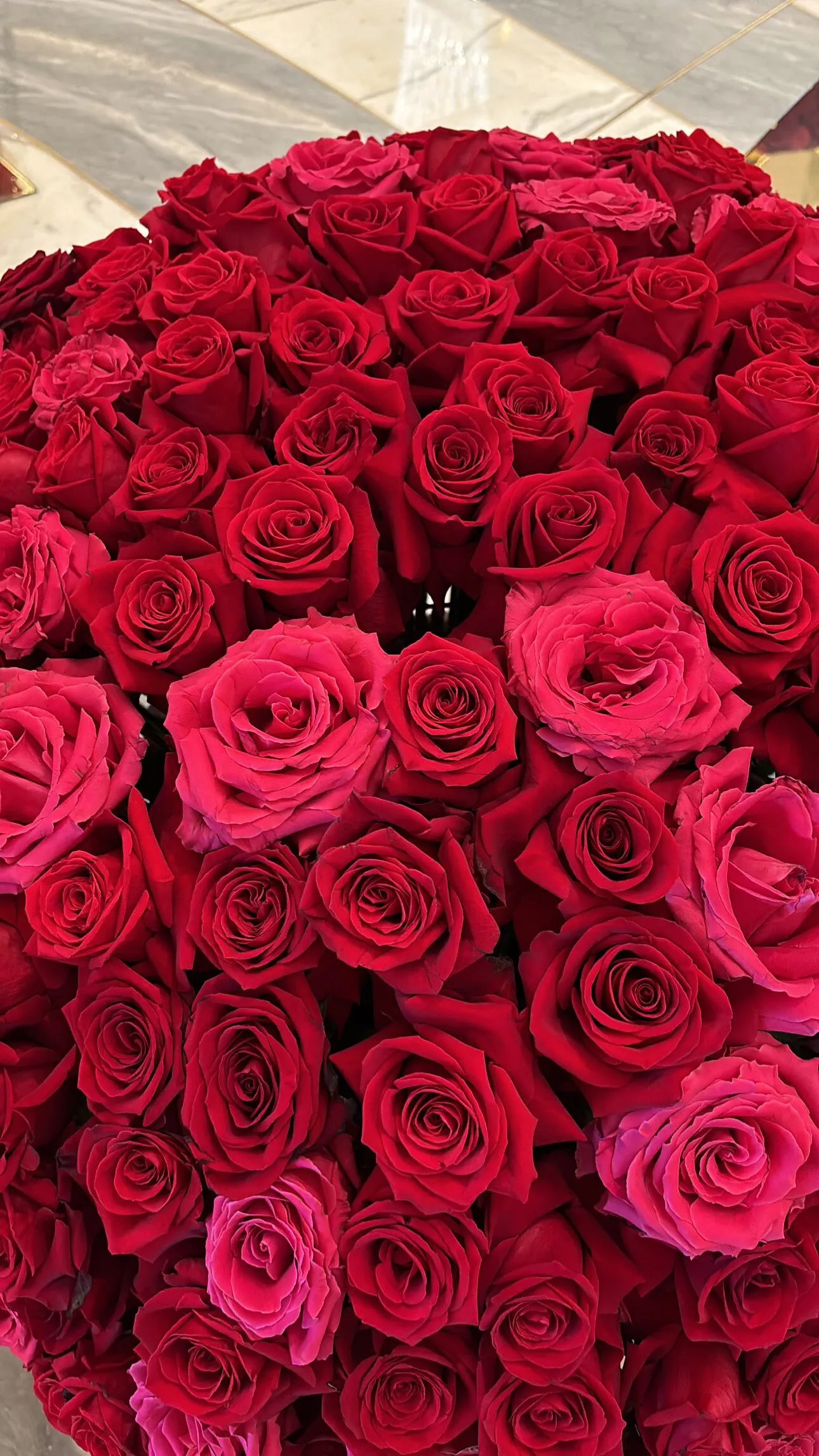 amiri banks 🫦 OnlyFans header