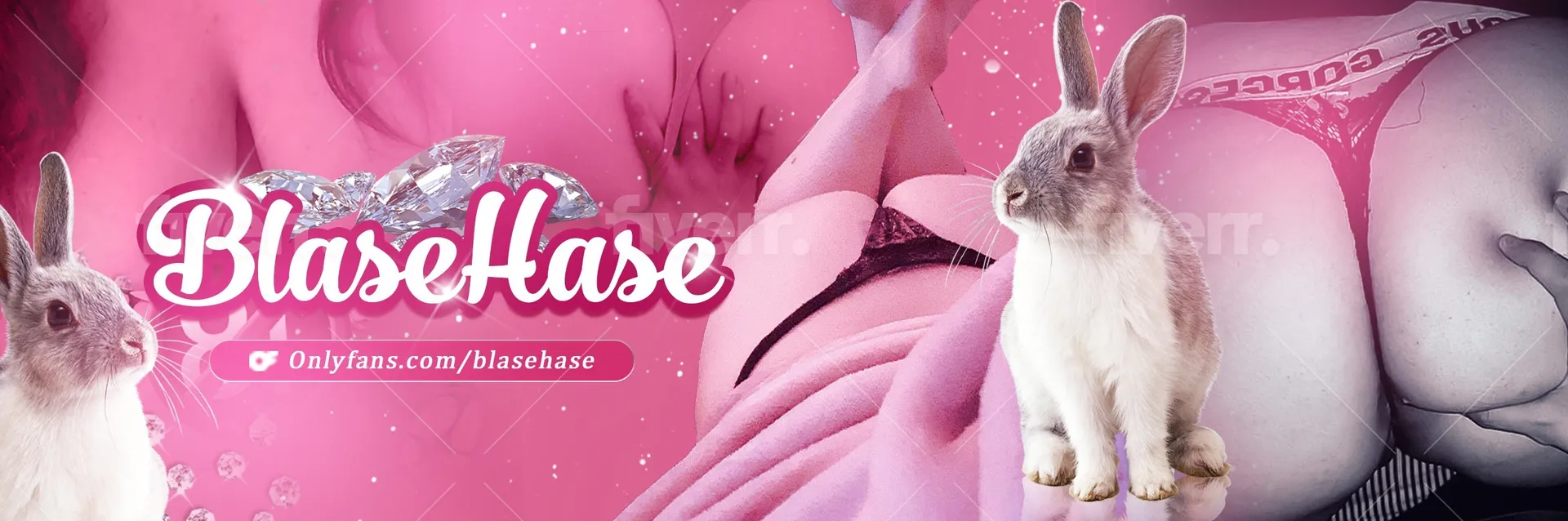 BlaseHase OnlyFans header