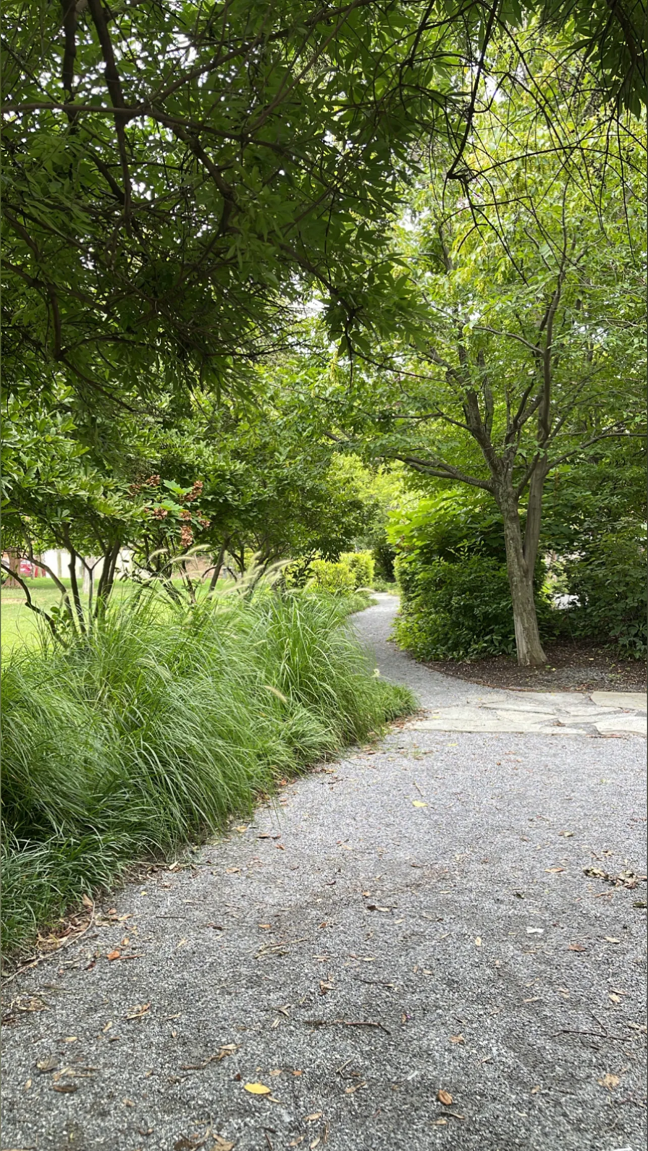 BLAVKZONE_ OnlyFans header