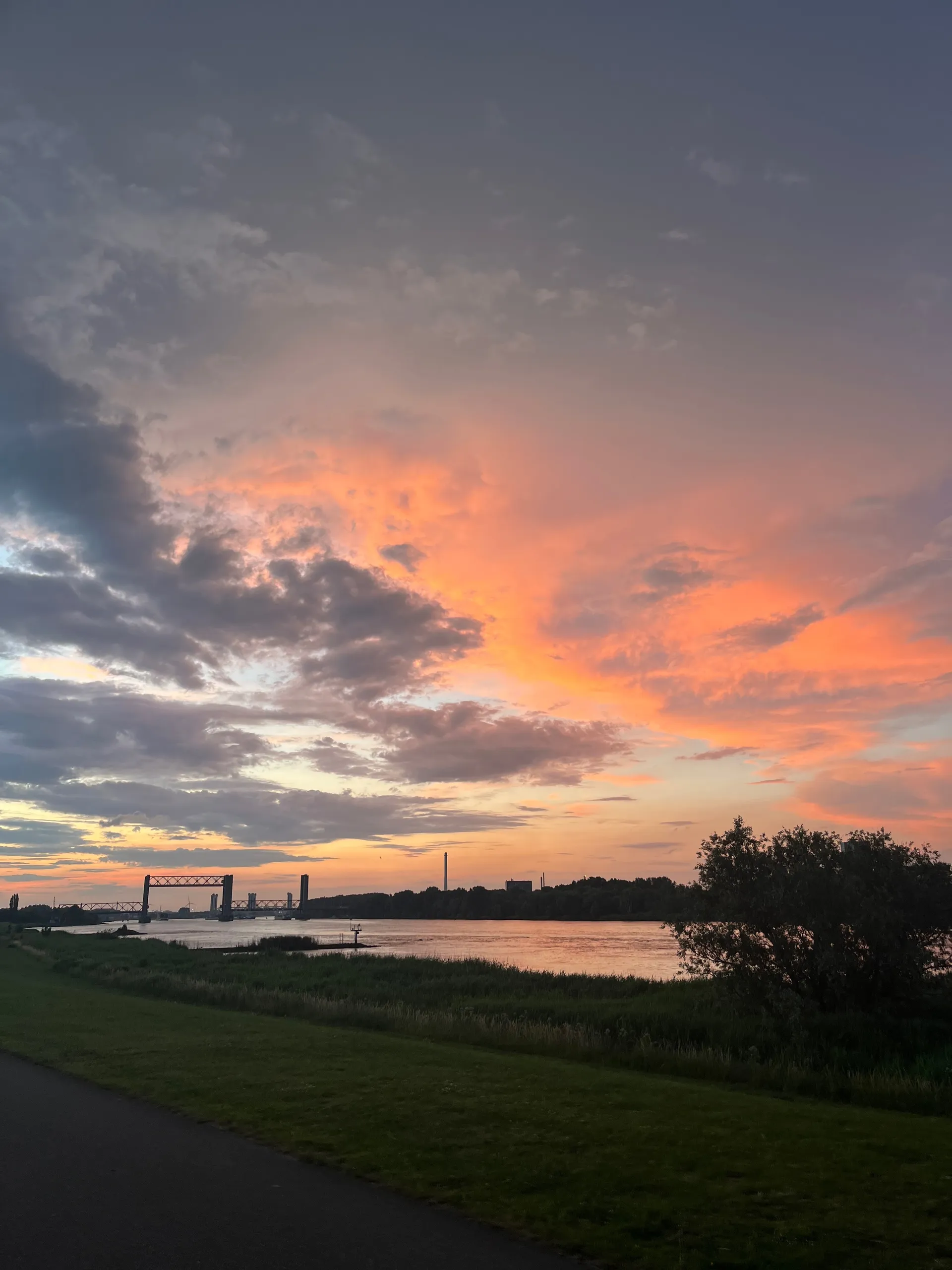 Black_Tiger OnlyFans header