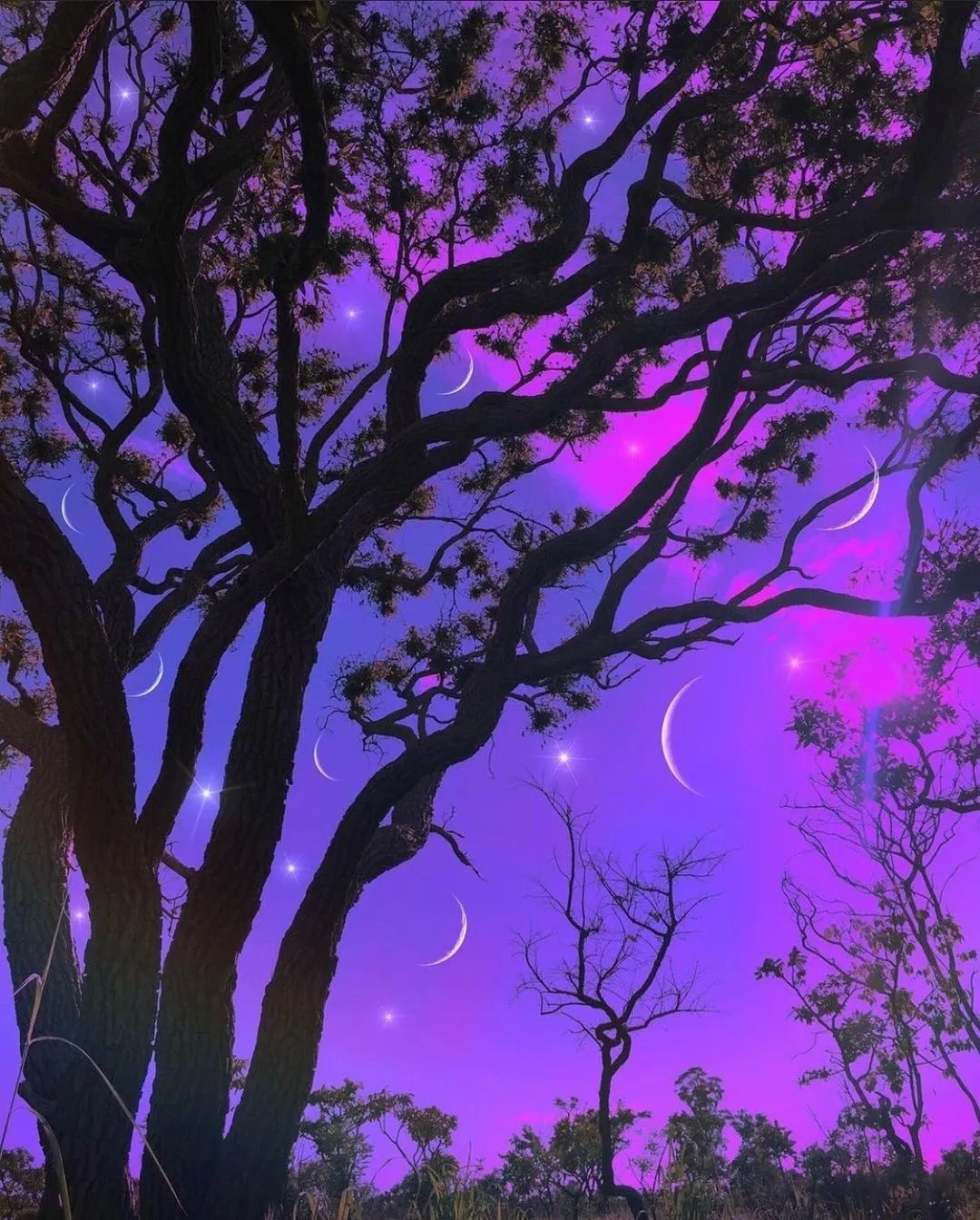 Blaxxx OnlyFans header