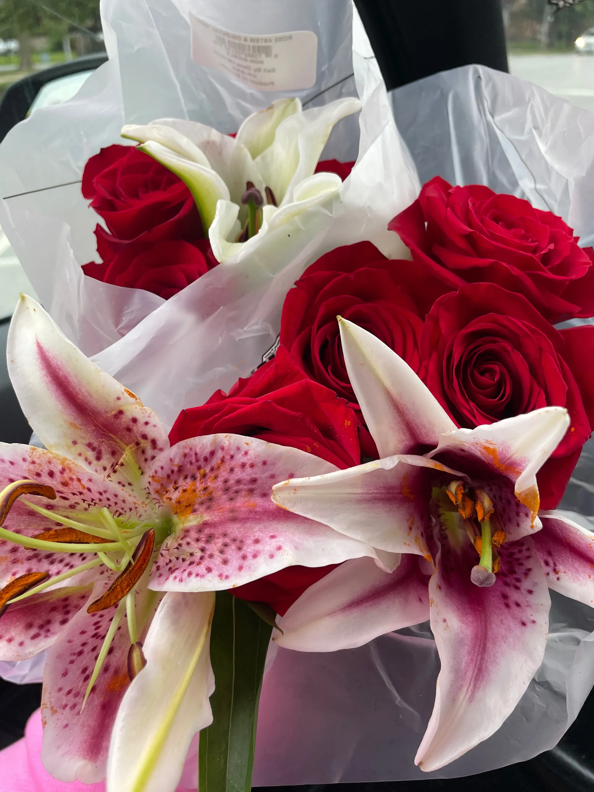 Viceverza Blaznn’ OnlyFans header