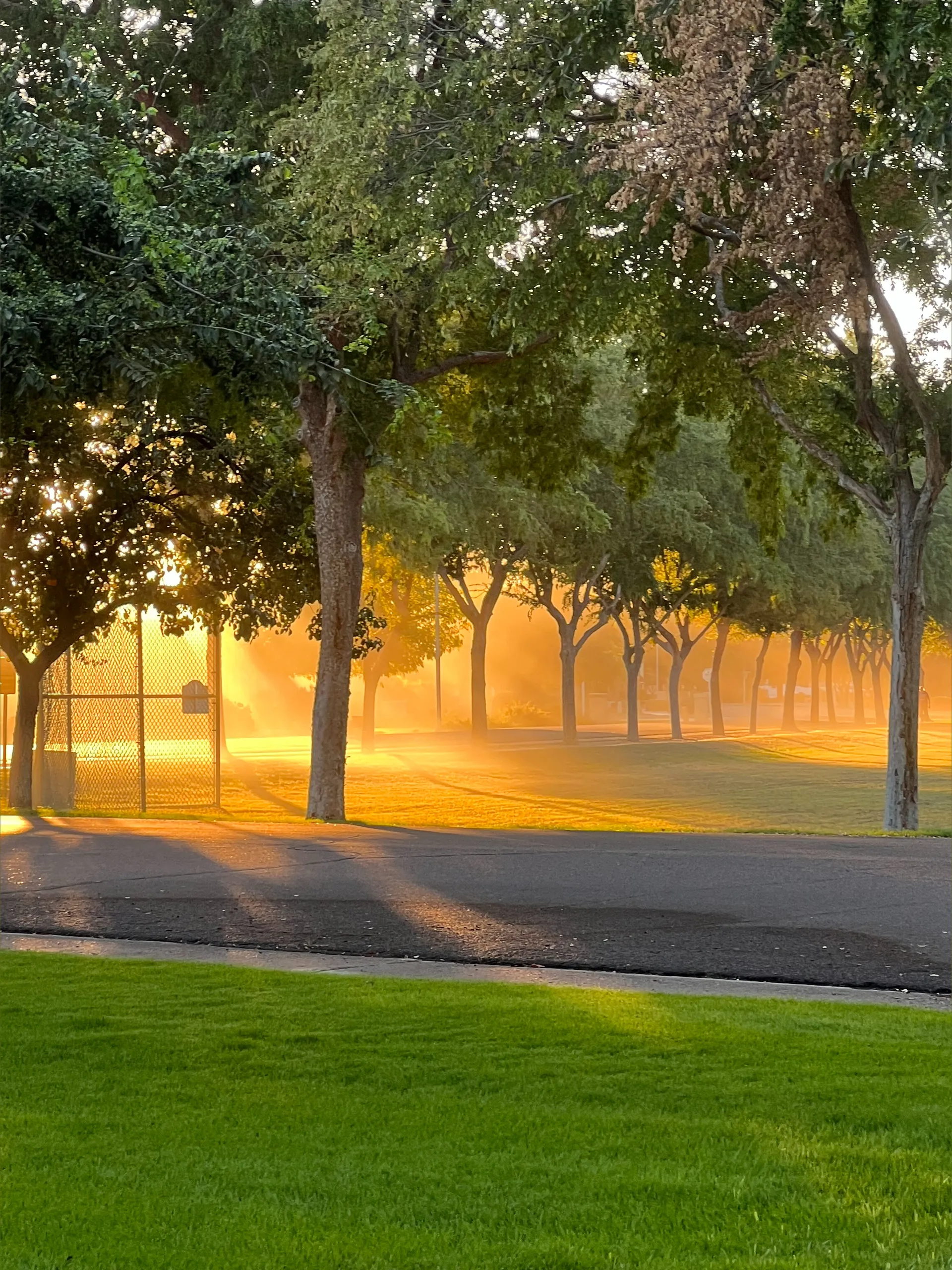 Blaze Thickwood OnlyFans header