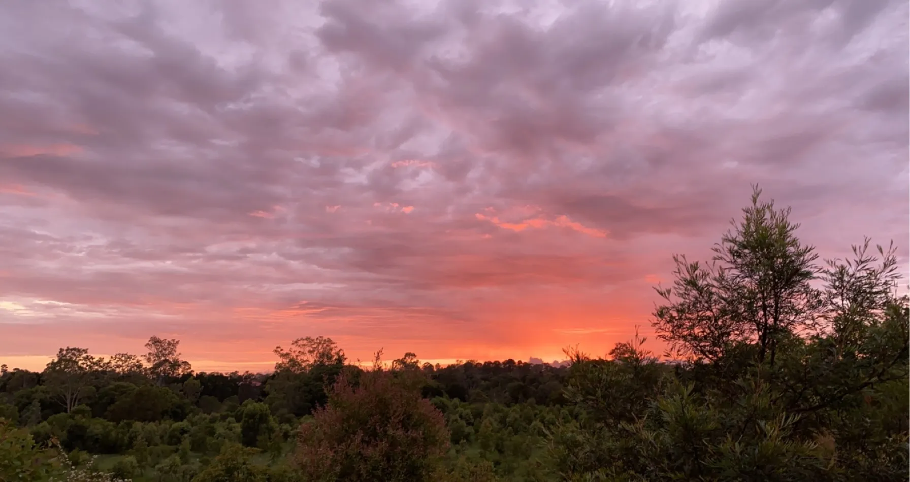 Blaze OnlyFans header