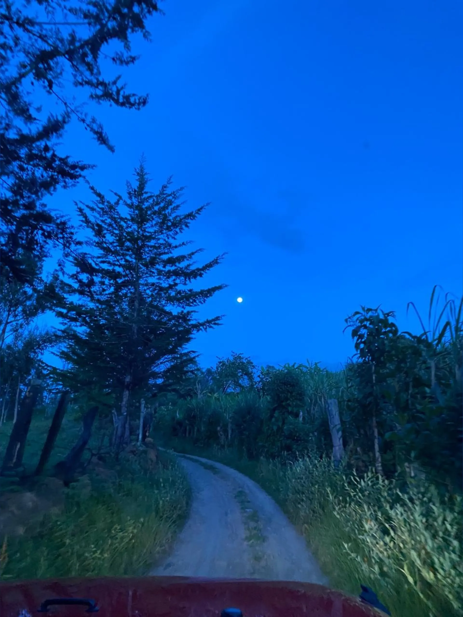 eimy! OnlyFans header