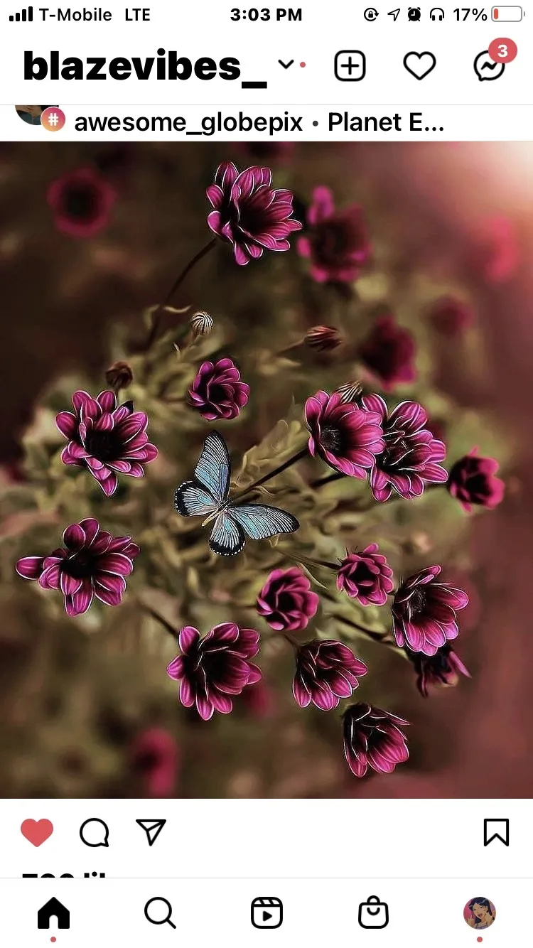 Alex 🦋 OnlyFans header