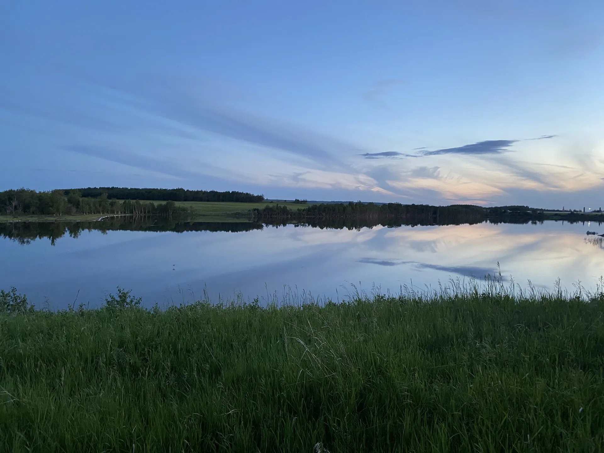 ThiccB OnlyFans header