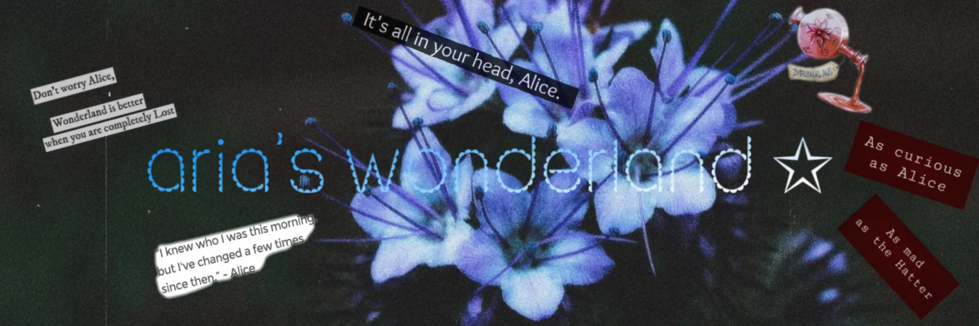 🩵 𝒜𝓇𝒾𝒶 🩵 OnlyFans header