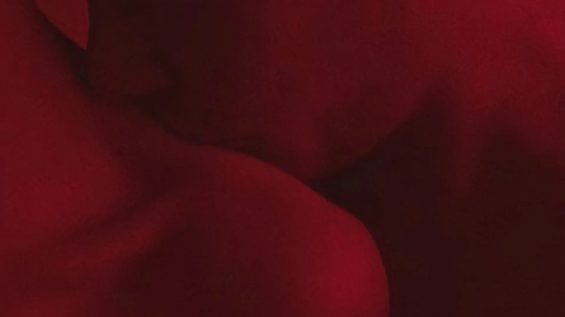 おばけ OnlyFans header