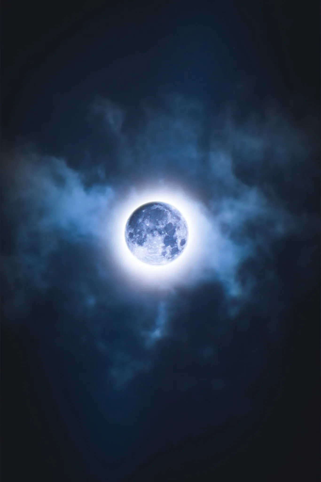 ⚫️🦋 OnlyFans header