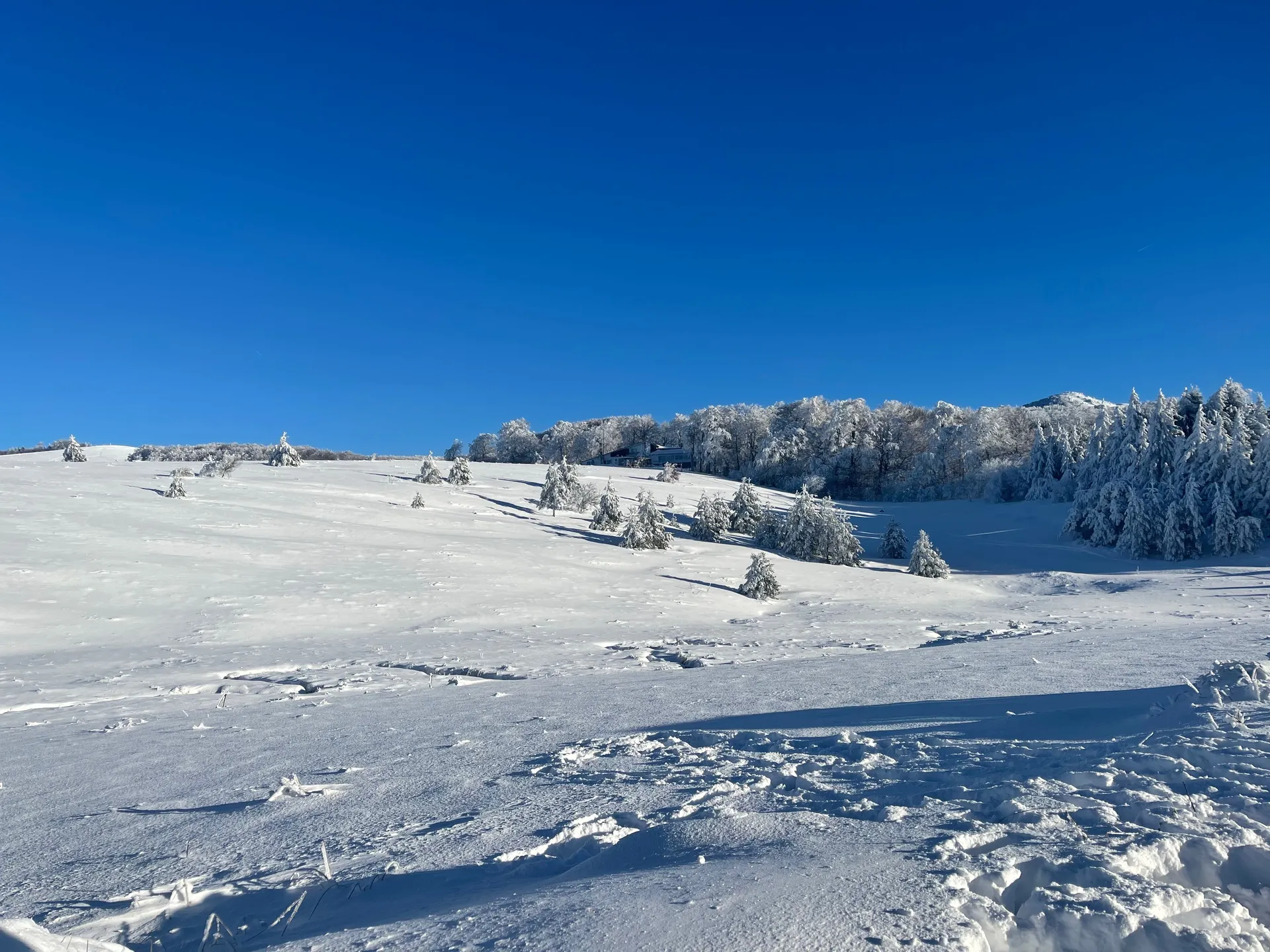 Hristiana Boneva OnlyFans header