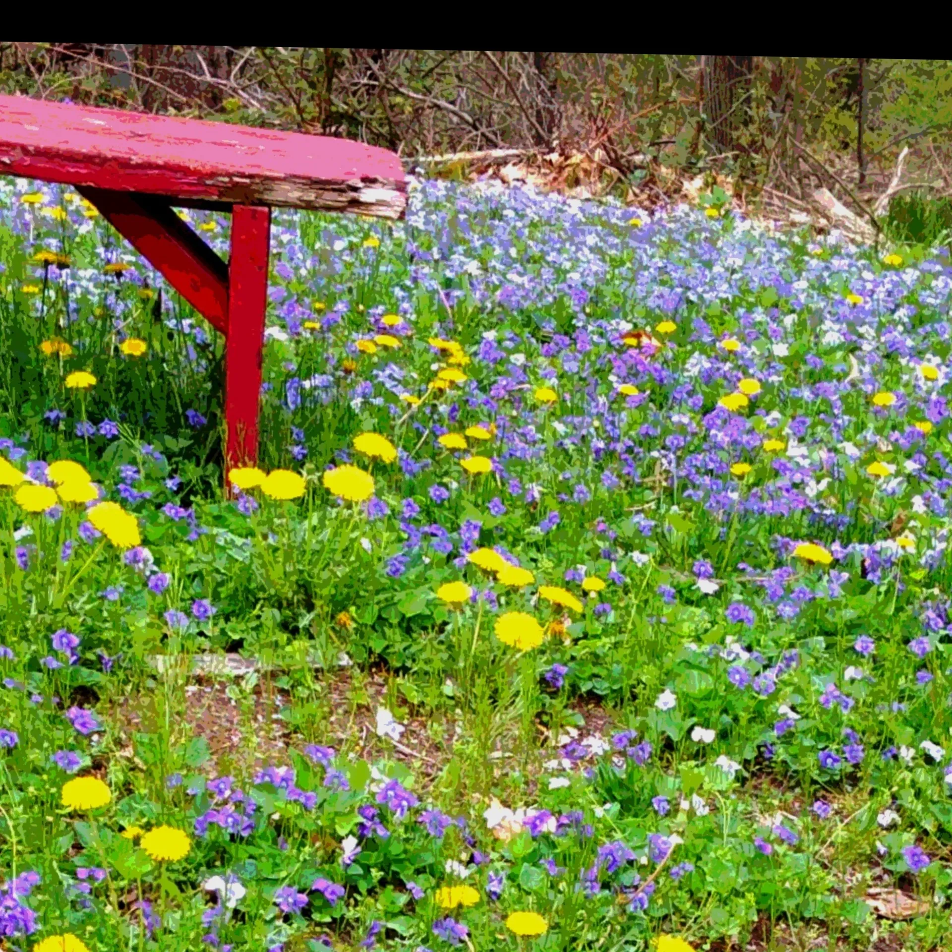 Bleppy_Baby OnlyFans header