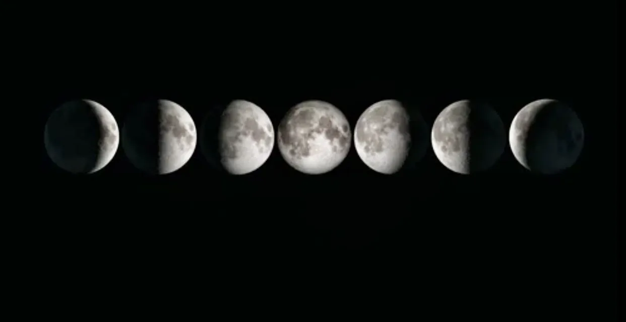 Luna OnlyFans header