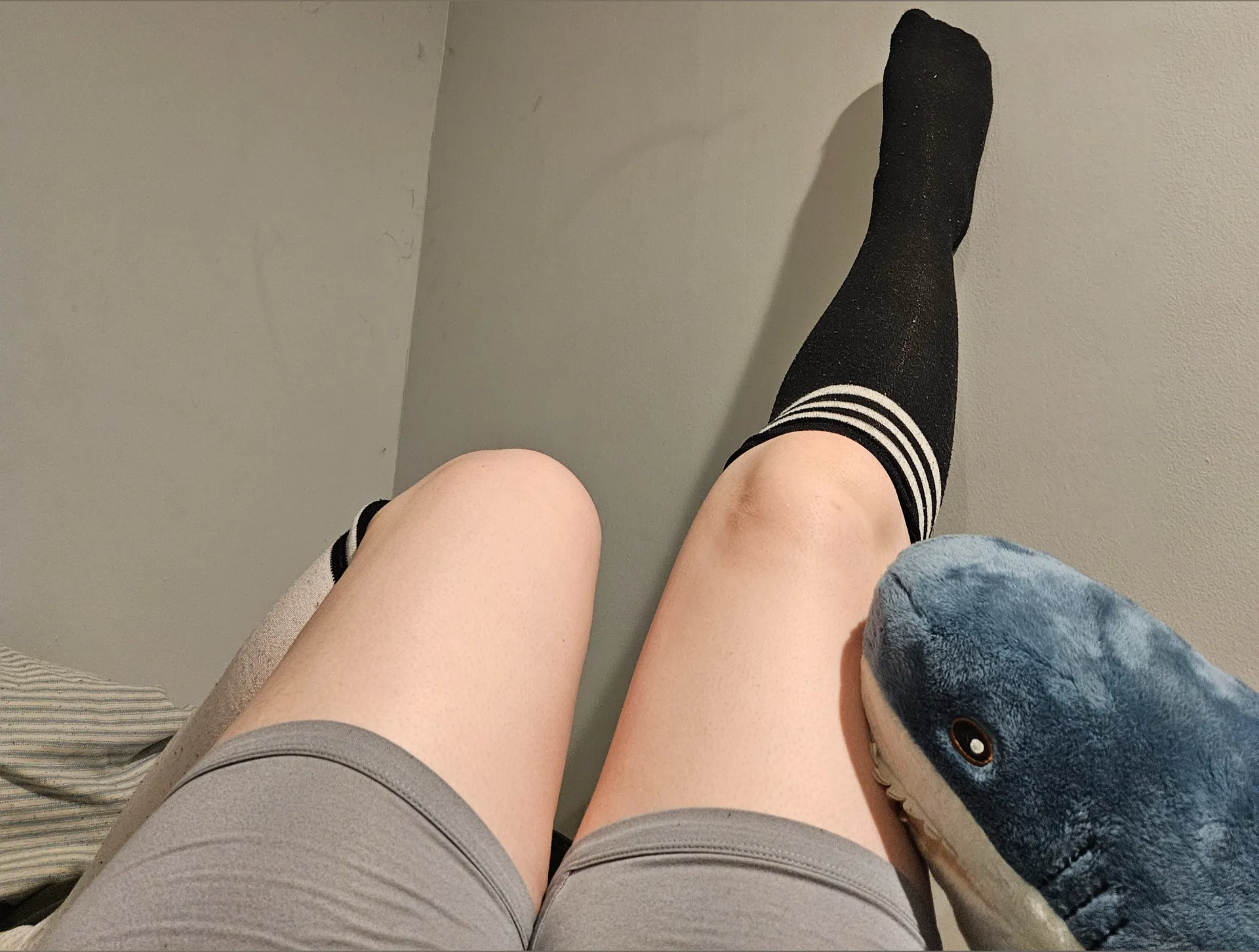 bleuchikbabe OnlyFans header