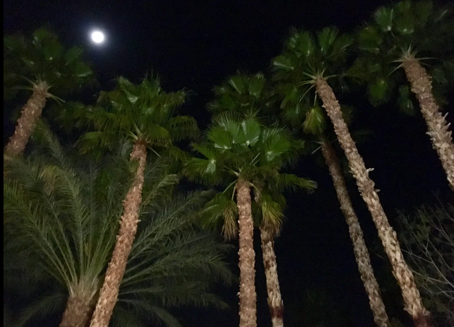 BlissTime OnlyFans header