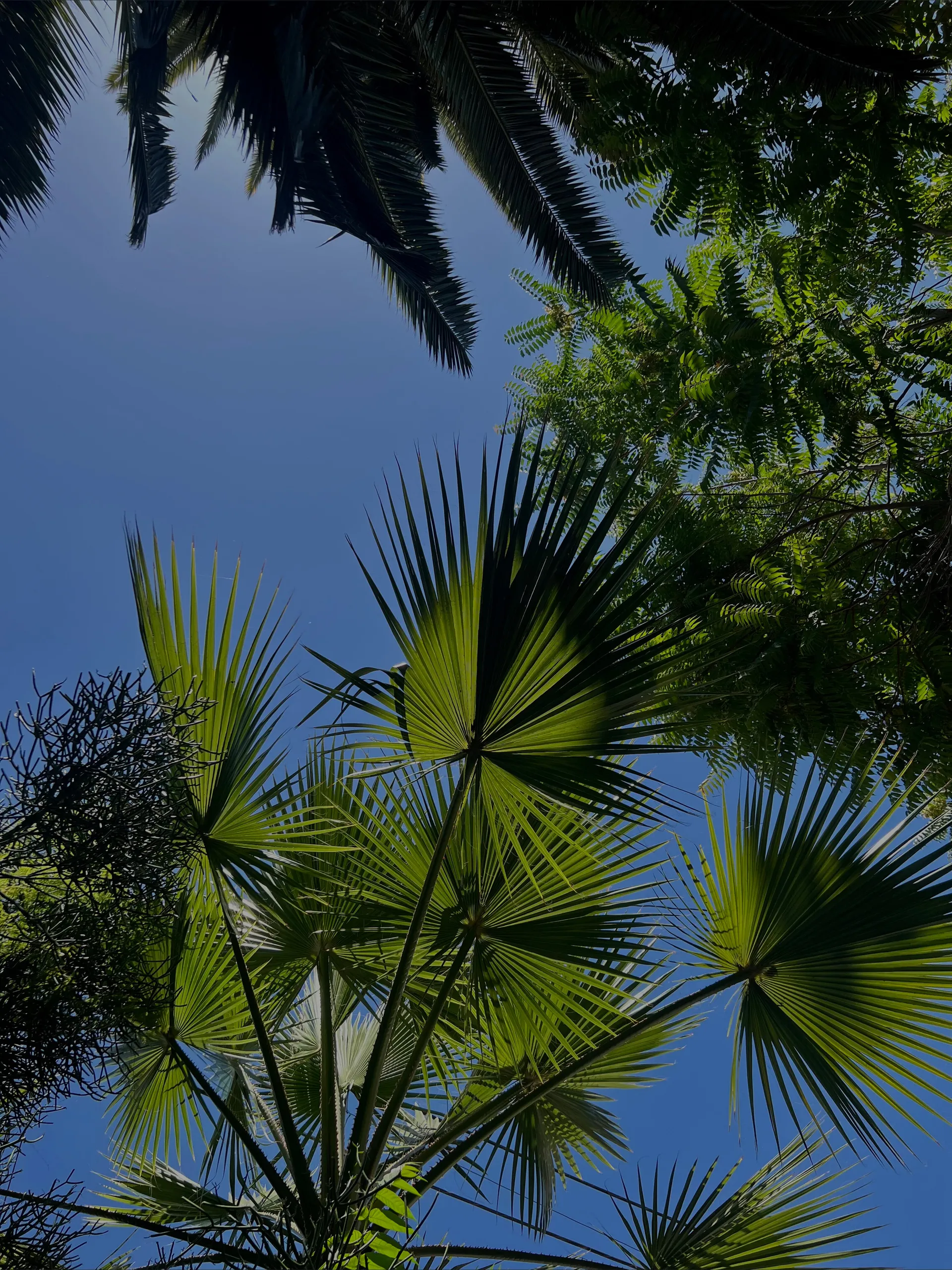 Joshua OnlyFans header