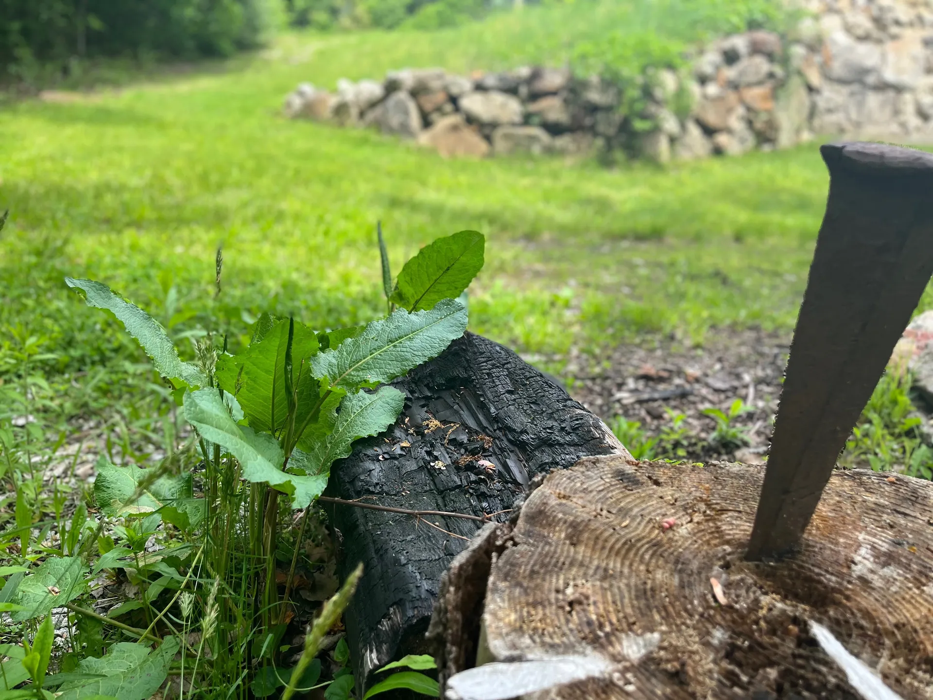 BlkBiBlade OnlyFans header